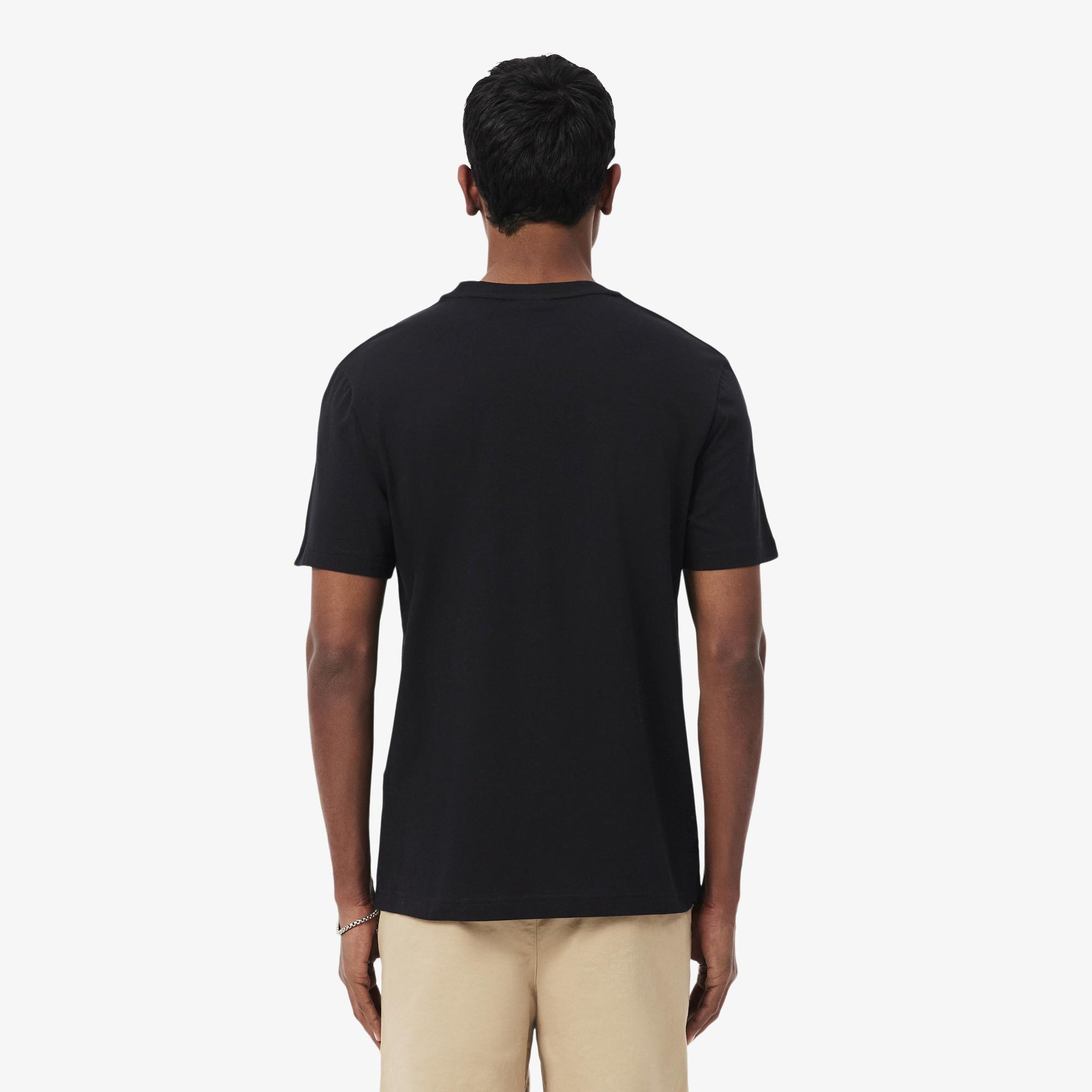 Erkek Regular Fit Bisiklet Yaka Siyah T-Shirt