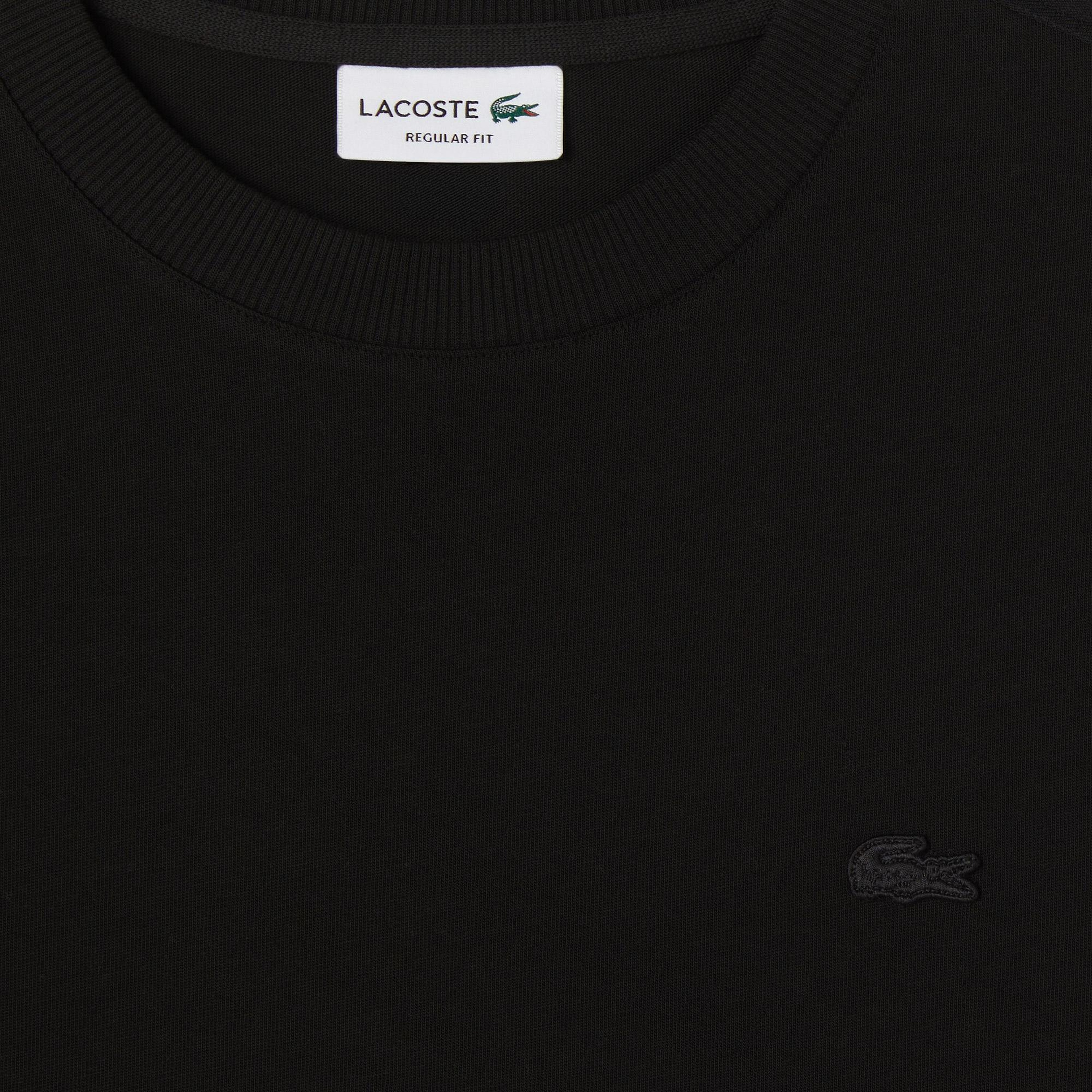 Erkek Regular Fit Bisiklet Yaka Siyah T-Shirt