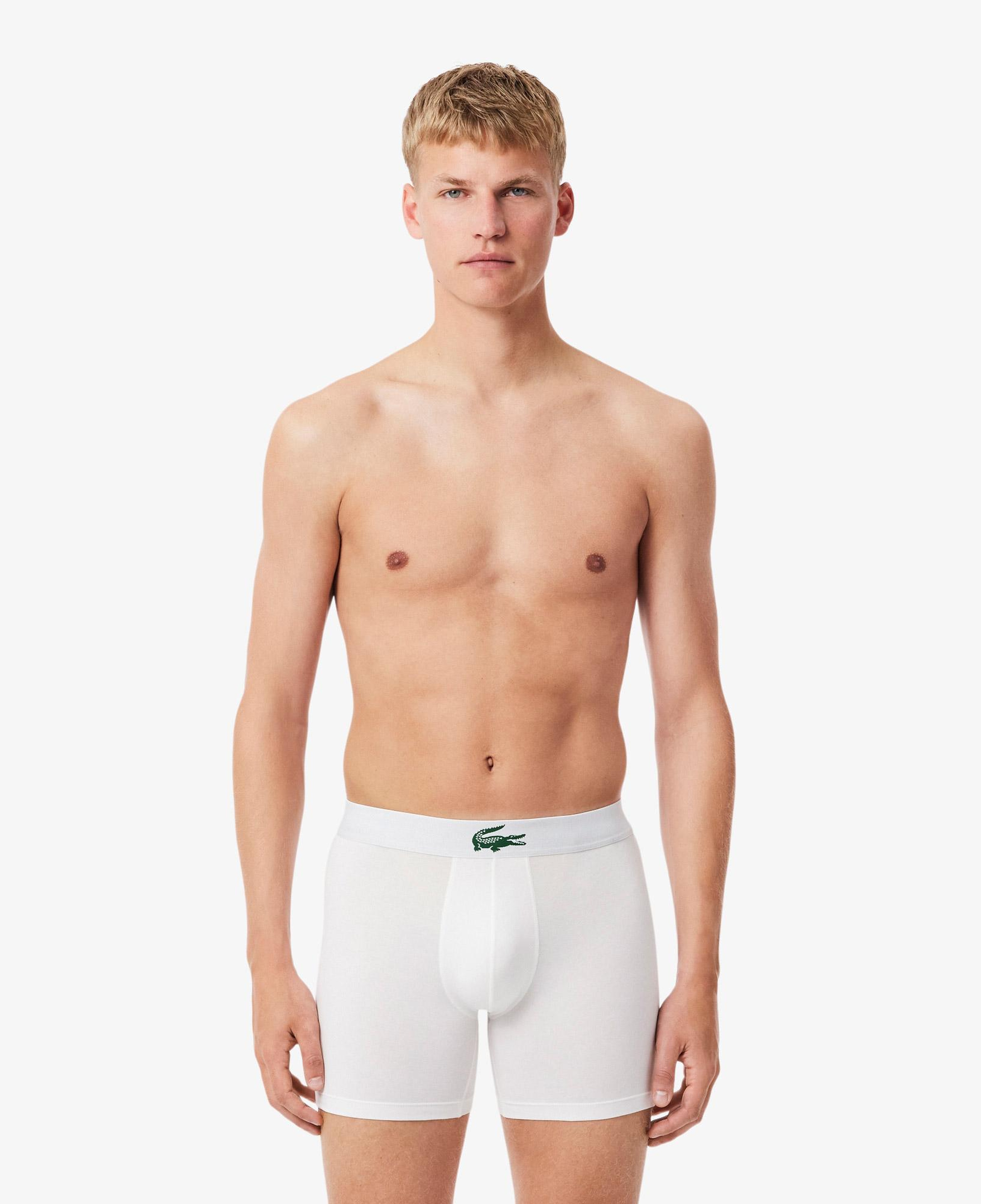 Erkek Renkli Boxer