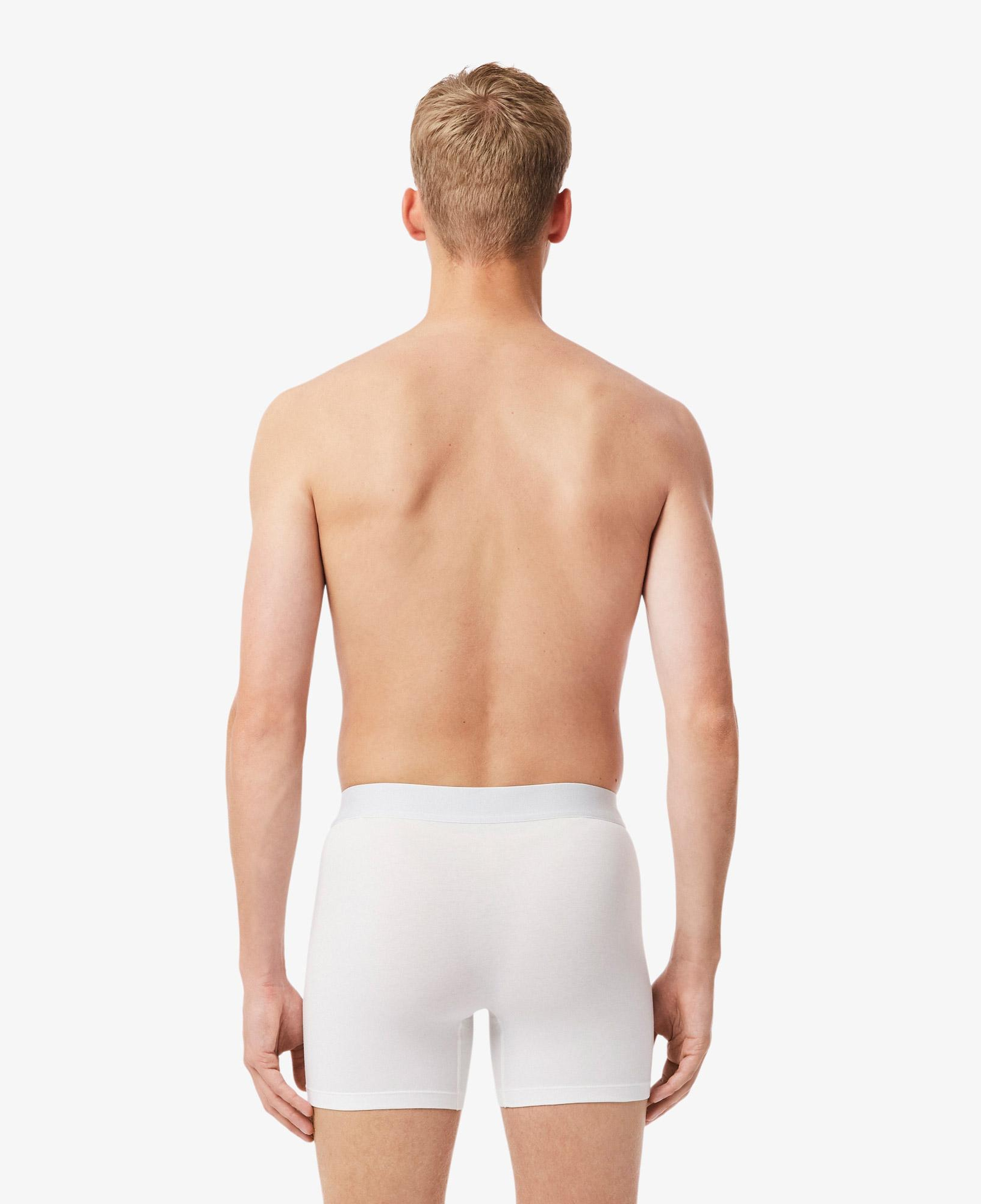 Erkek Renkli Boxer