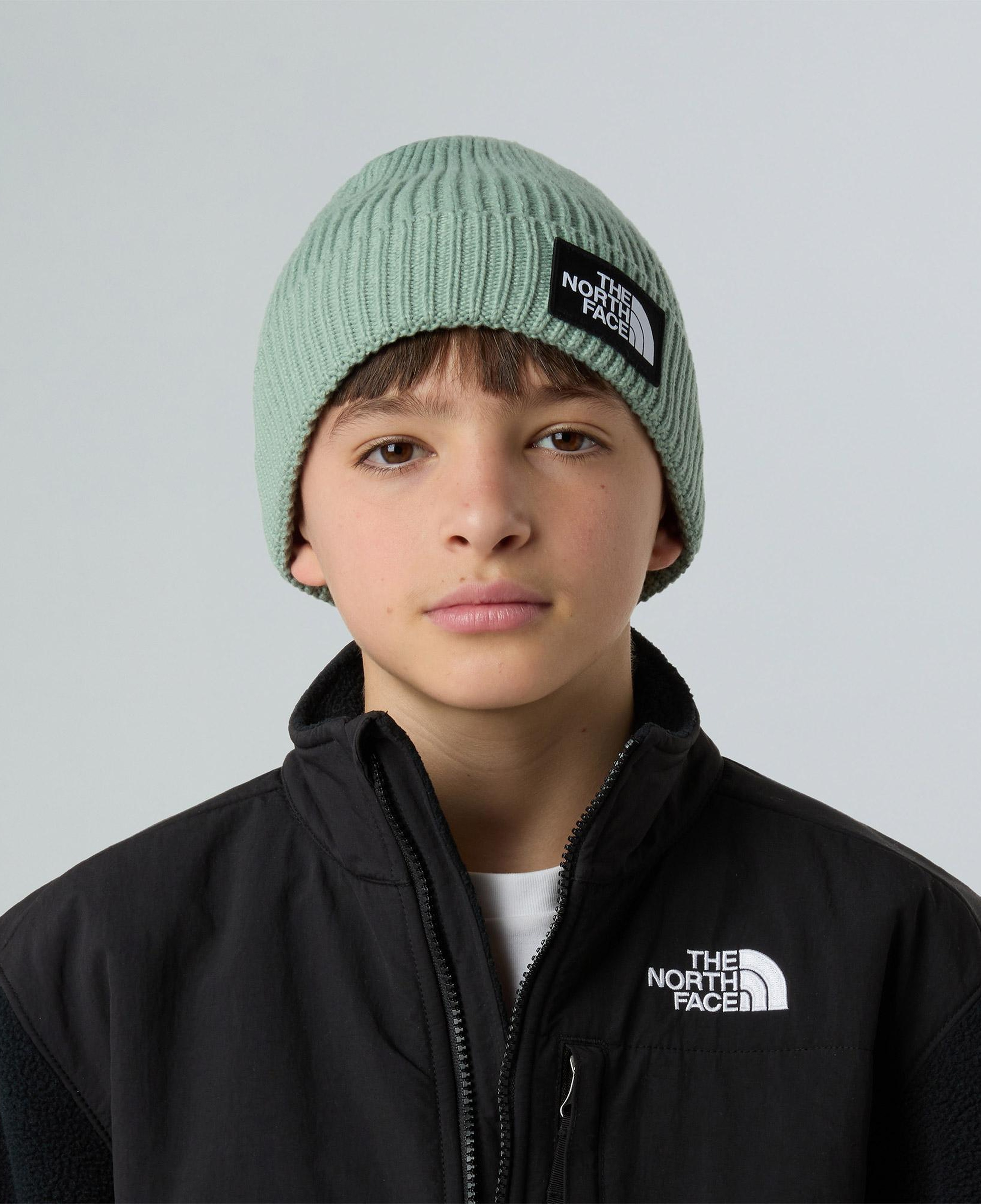 The North Face Logo Box Cuffed Yeşil Bere