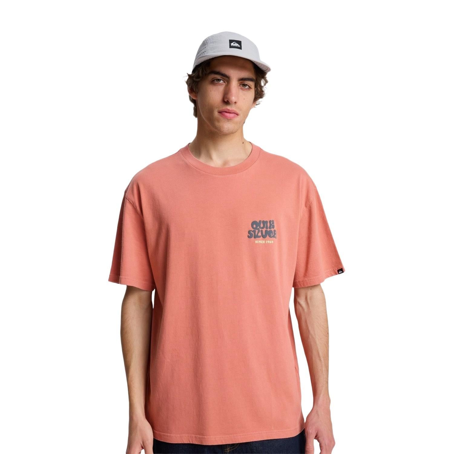 Quiksilver Fruits Tide Erkek Pembe Tişört