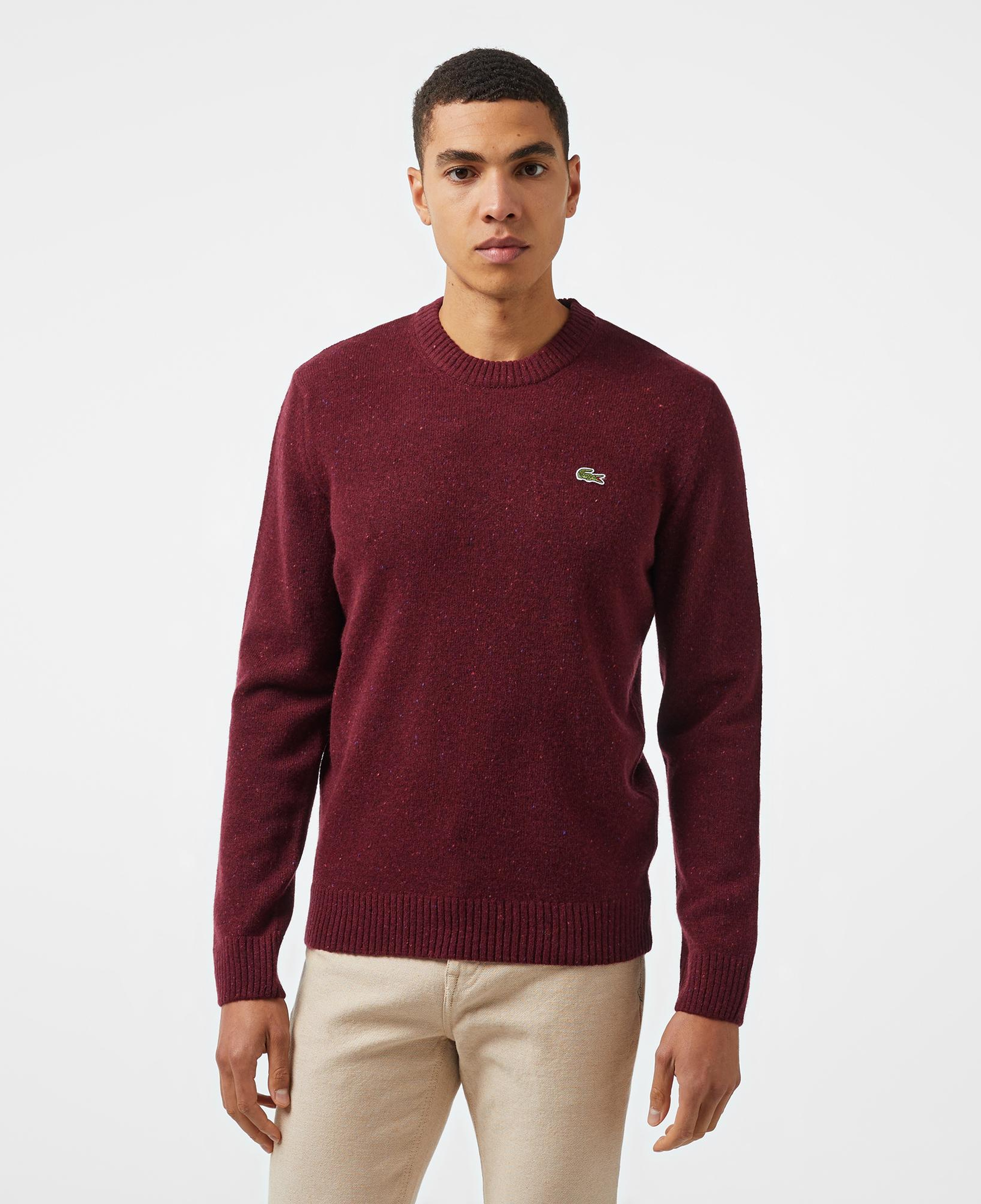Lacoste Erkek Regular Fit Bisiklet Yaka Yün Bordo Triko