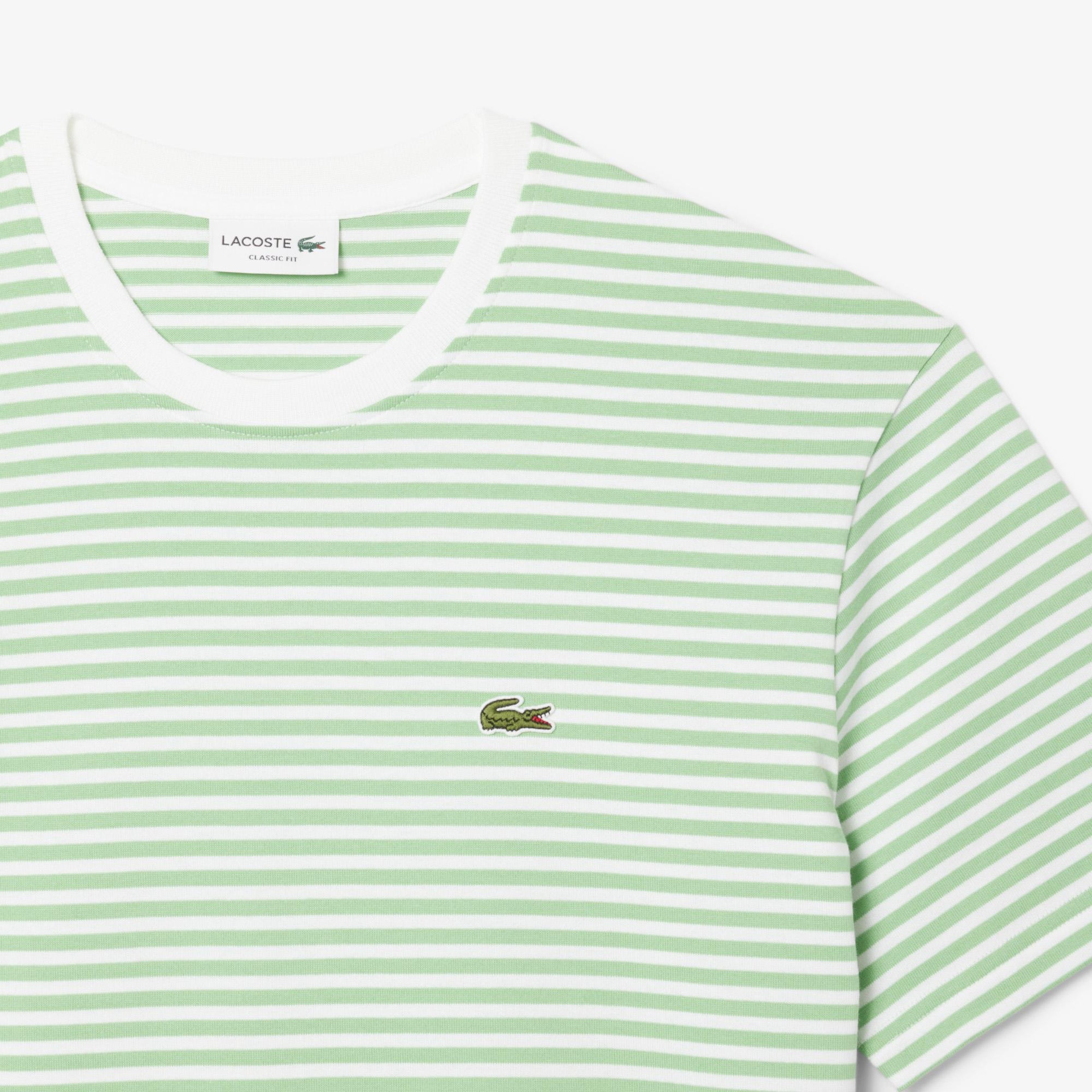 Erkek Classic Fit Bisiklet Yaka Çizgili Açık Yeşil T-Shirt