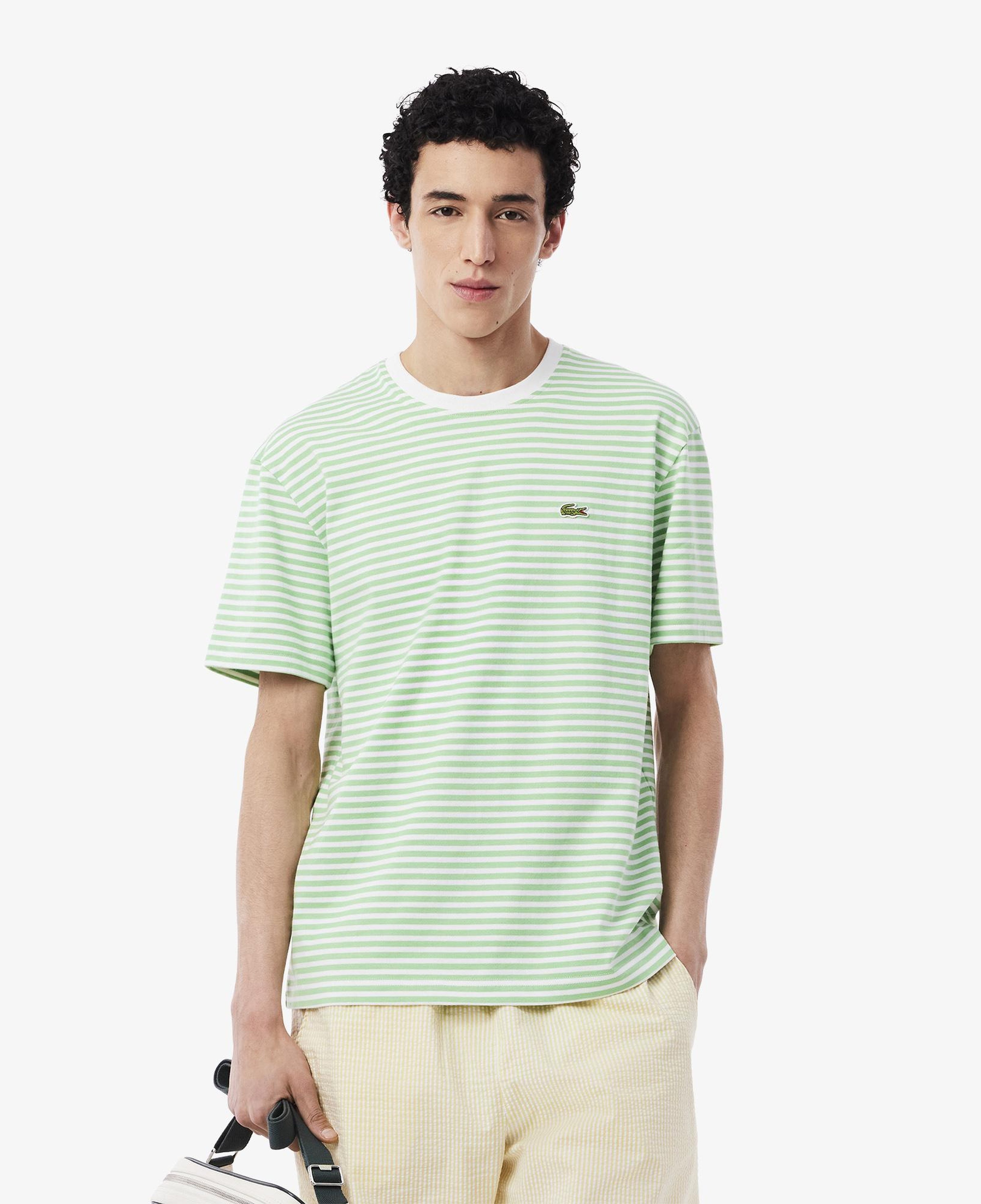 Erkek Classic Fit Bisiklet Yaka Çizgili Açık Yeşil T-Shirt