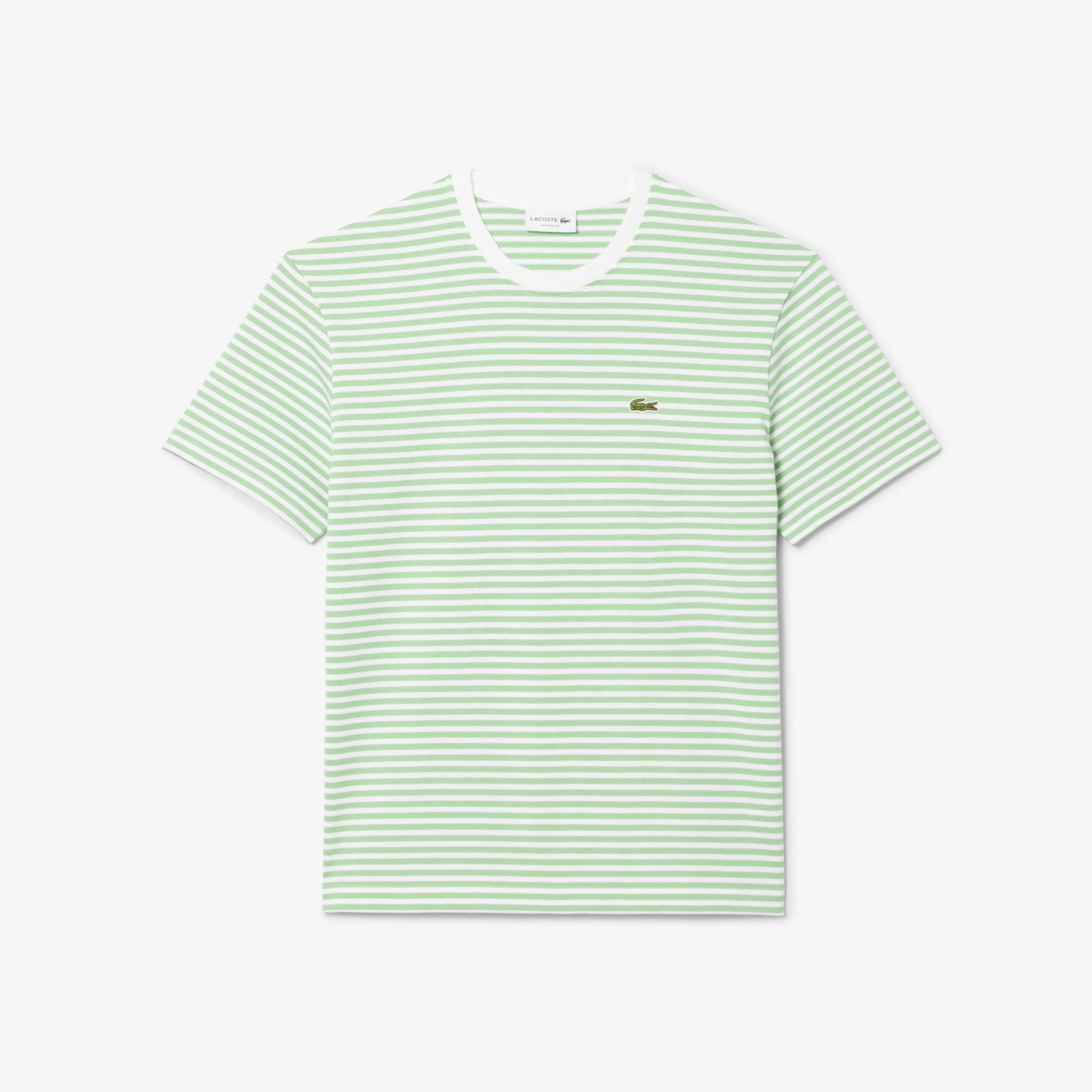 Erkek Classic Fit Bisiklet Yaka Çizgili Açık Yeşil T-Shirt