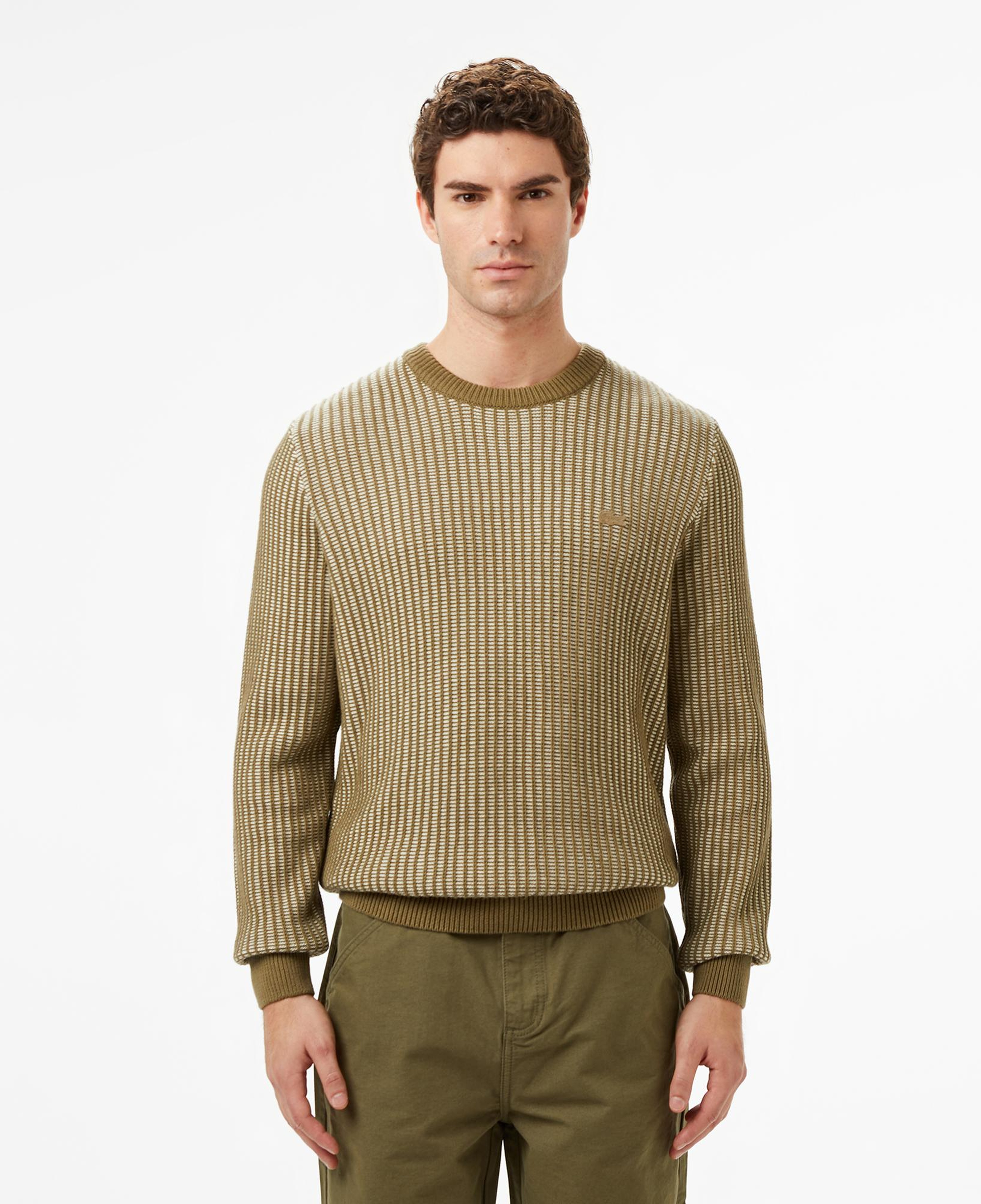 Erkek Classic Fit Bisiklet Yaka Desenli Haki Kazak