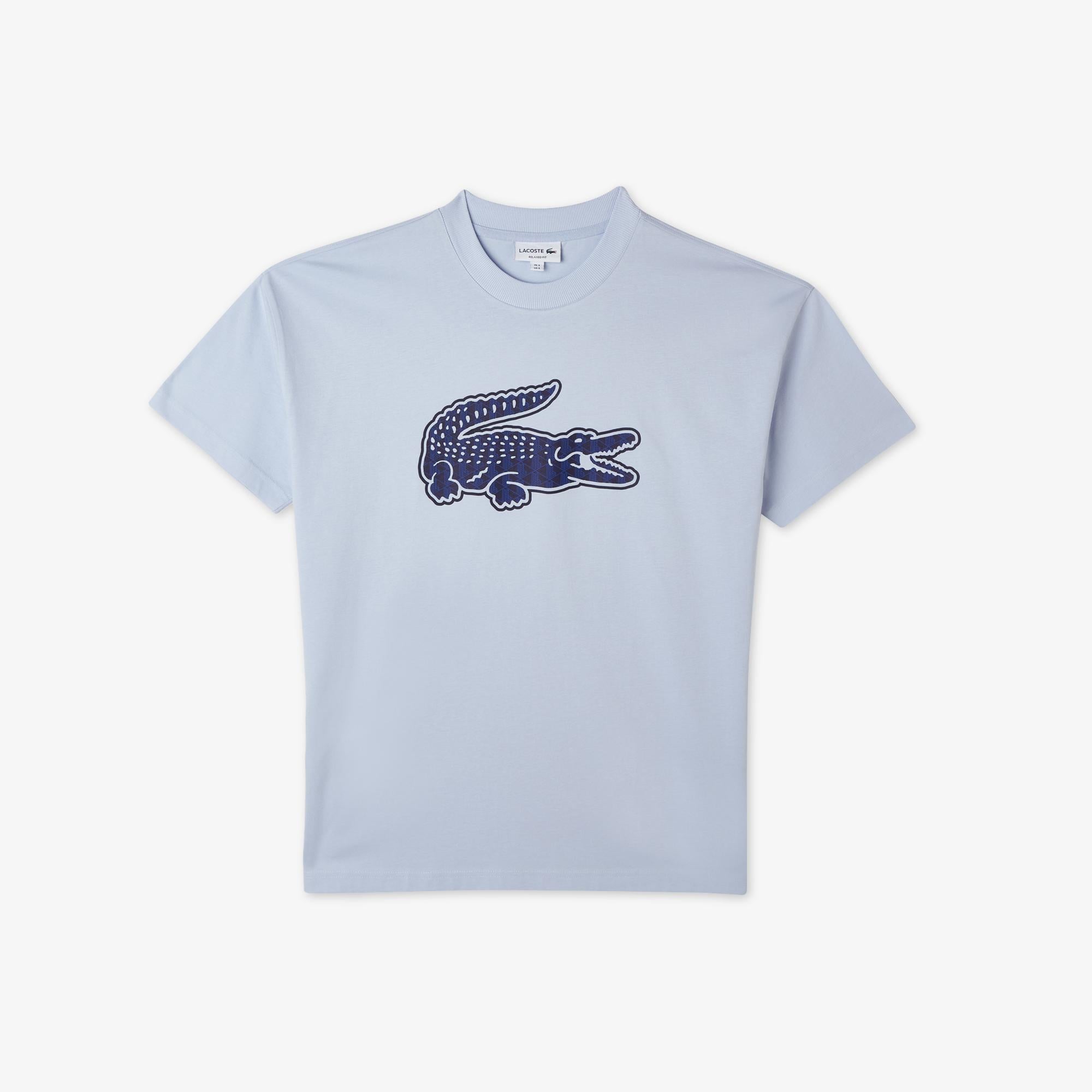 Erkek Relaxed Fit Bisiklet Yaka Baskılı Mavi T-Shirt