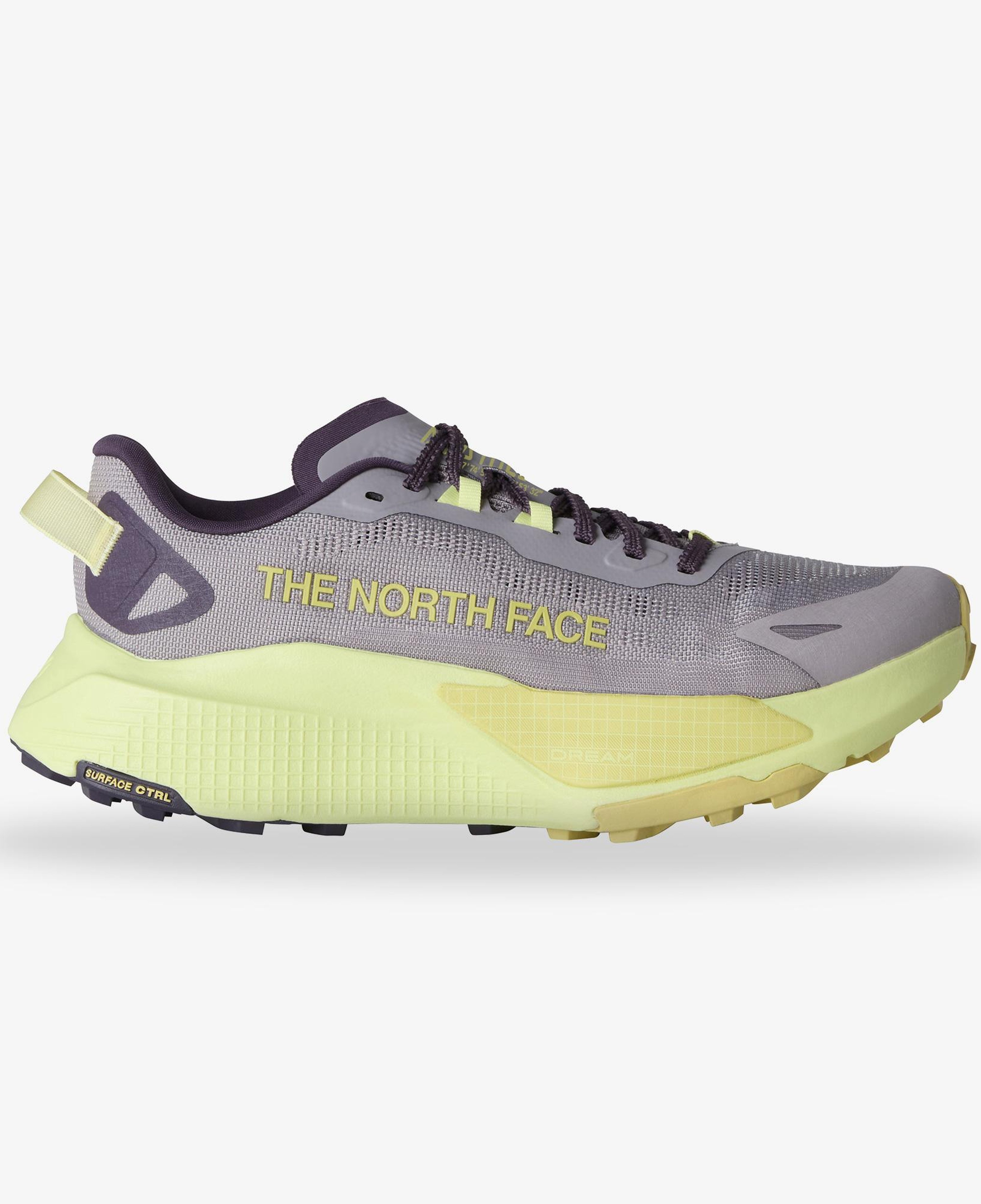 The North Face Altamesa 500 V2 Kadın Gri Koşu Ayakkabı