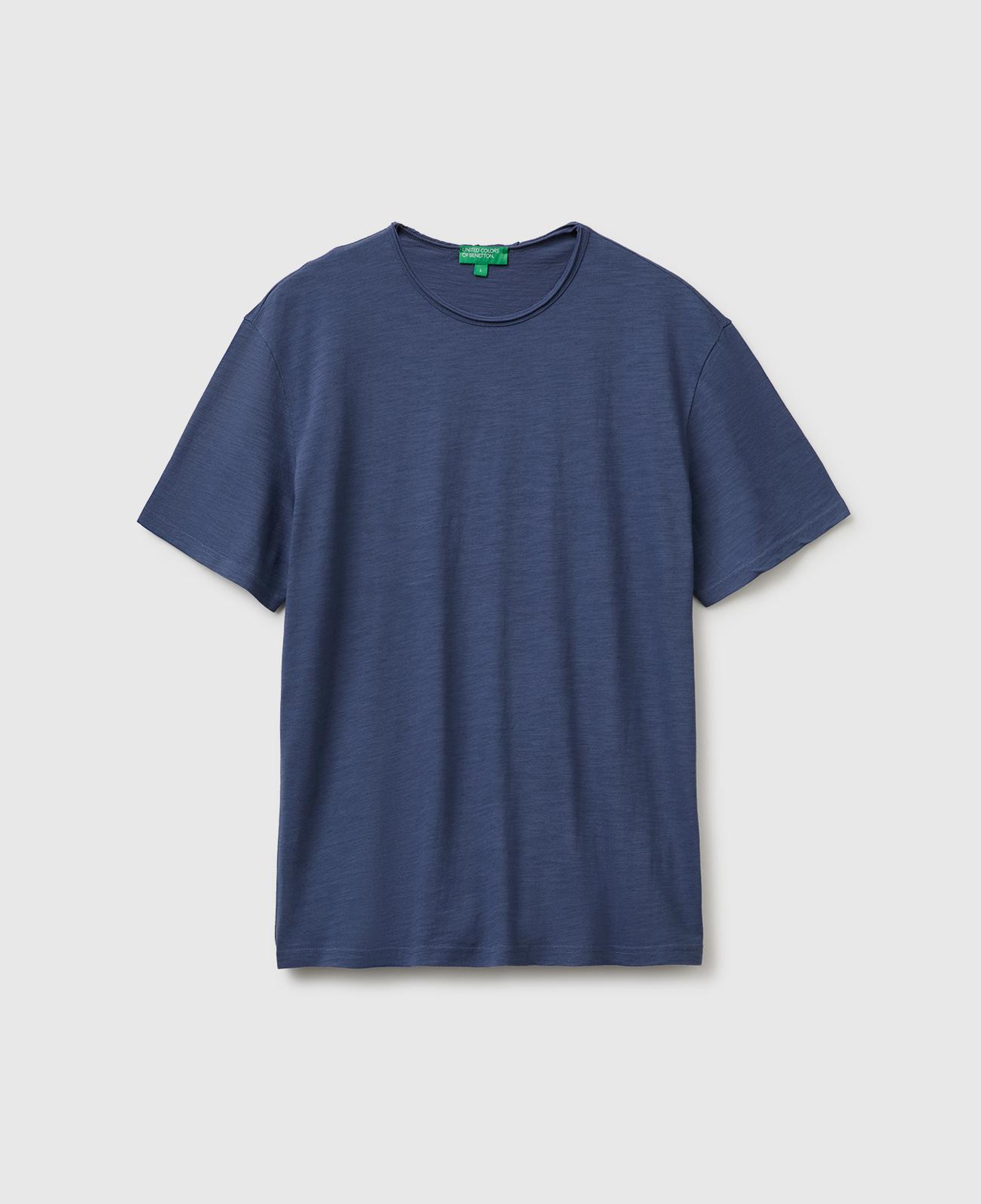 Erkek Havacı Mavi %100 Pamuk Regular Fit Bisiklet Yaka T-Shirt