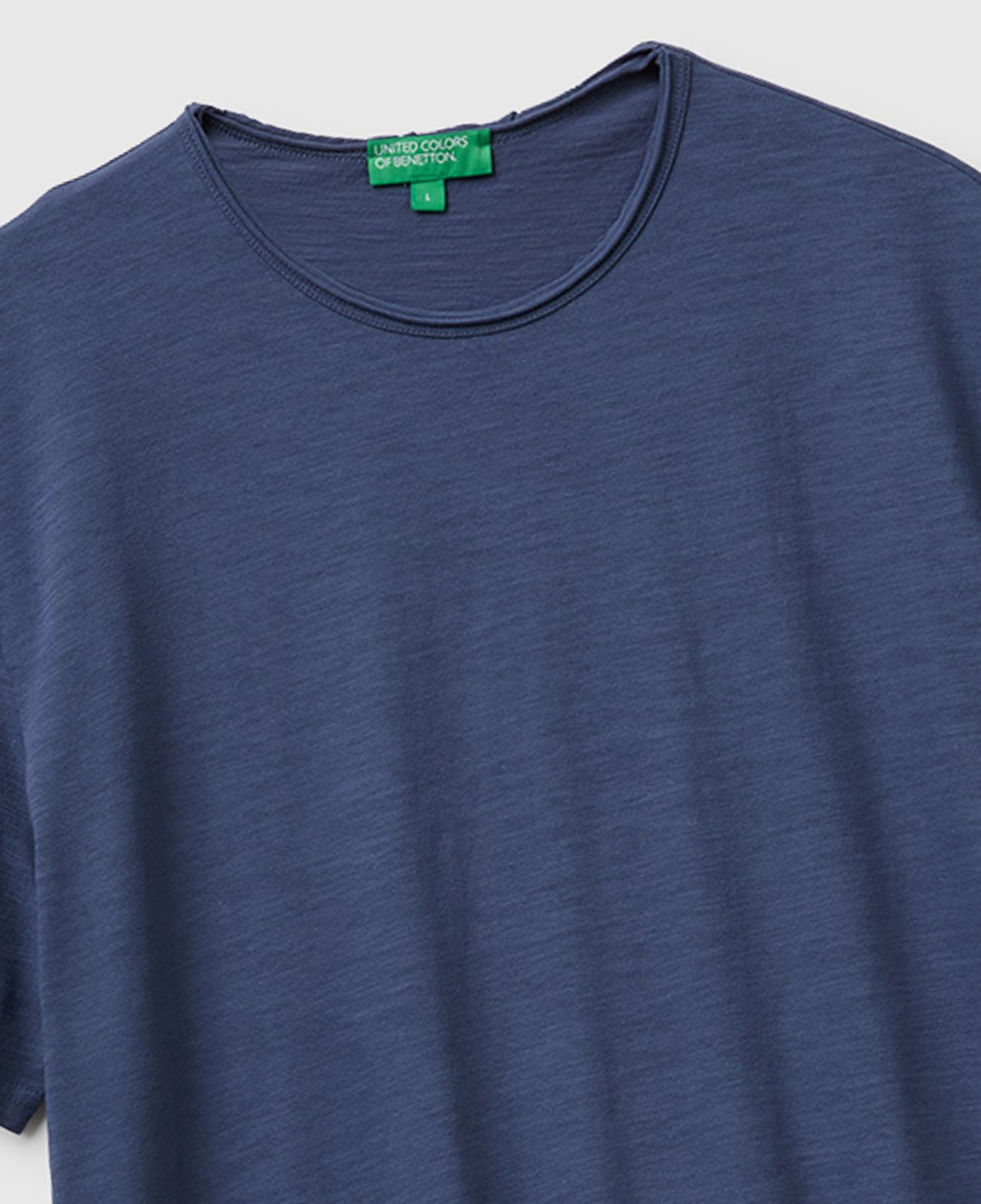 Erkek Havacı Mavi %100 Pamuk Regular Fit Bisiklet Yaka T-Shirt