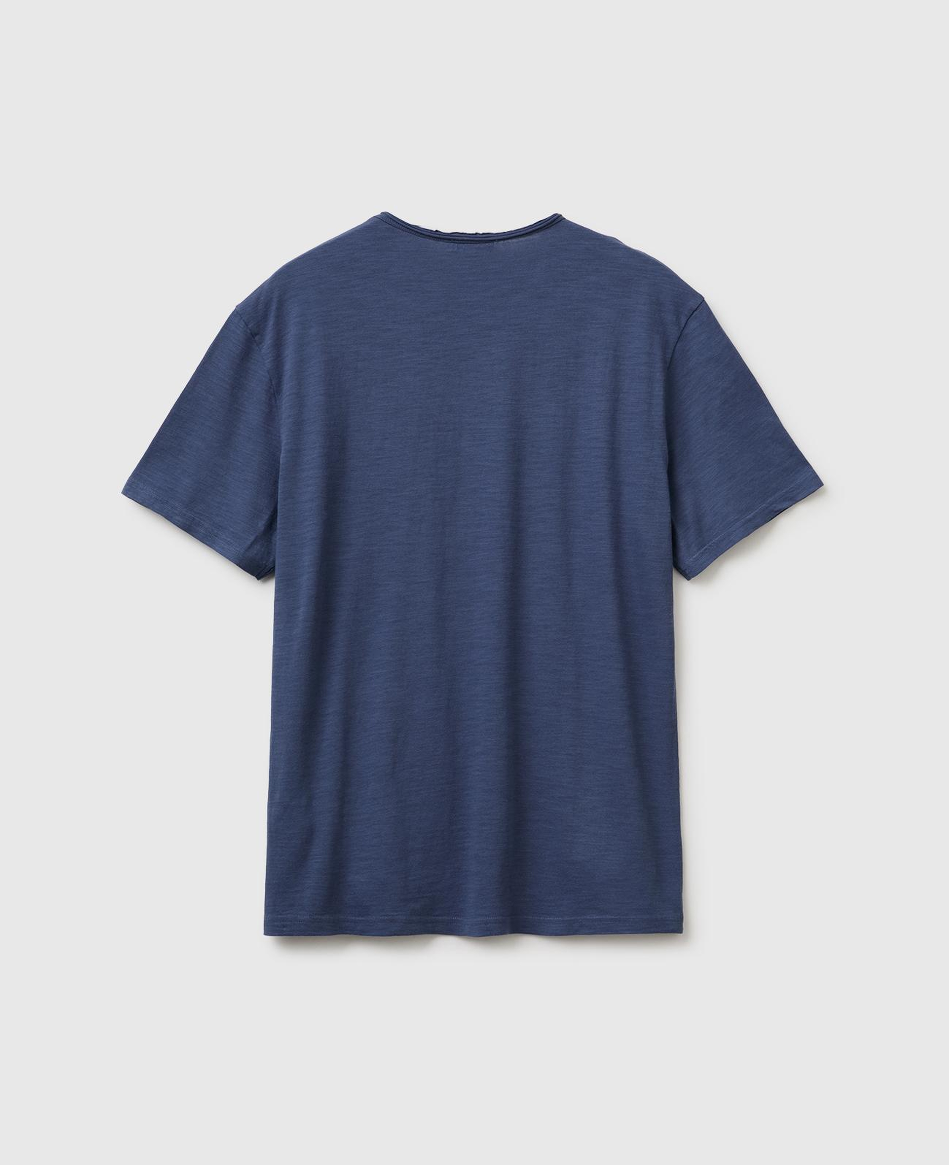Erkek Havacı Mavi %100 Pamuk Regular Fit Bisiklet Yaka T-Shirt