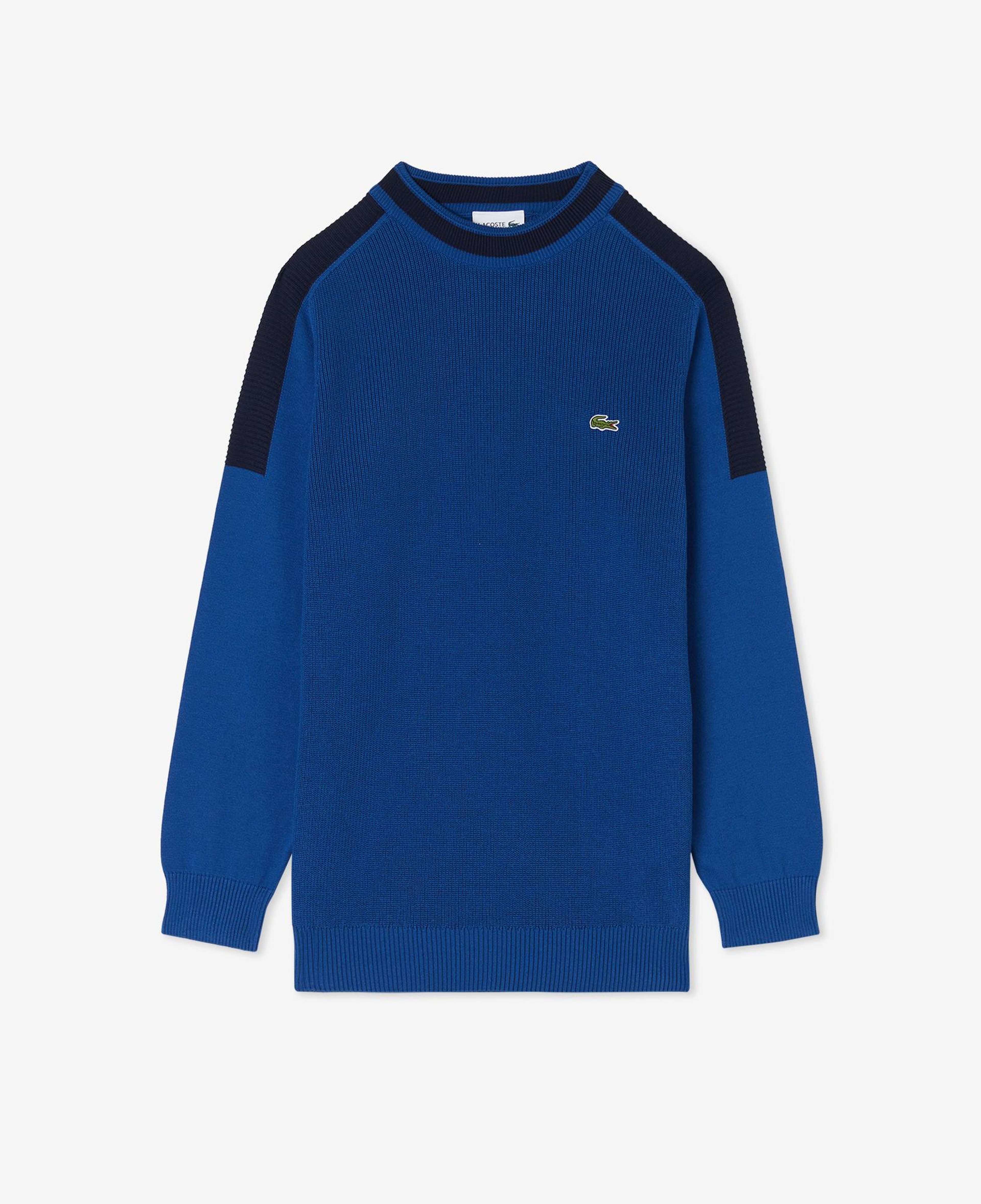 Erkek Classic Fit Bisiklet Yaka Renk Bloklu Mavi Kazak