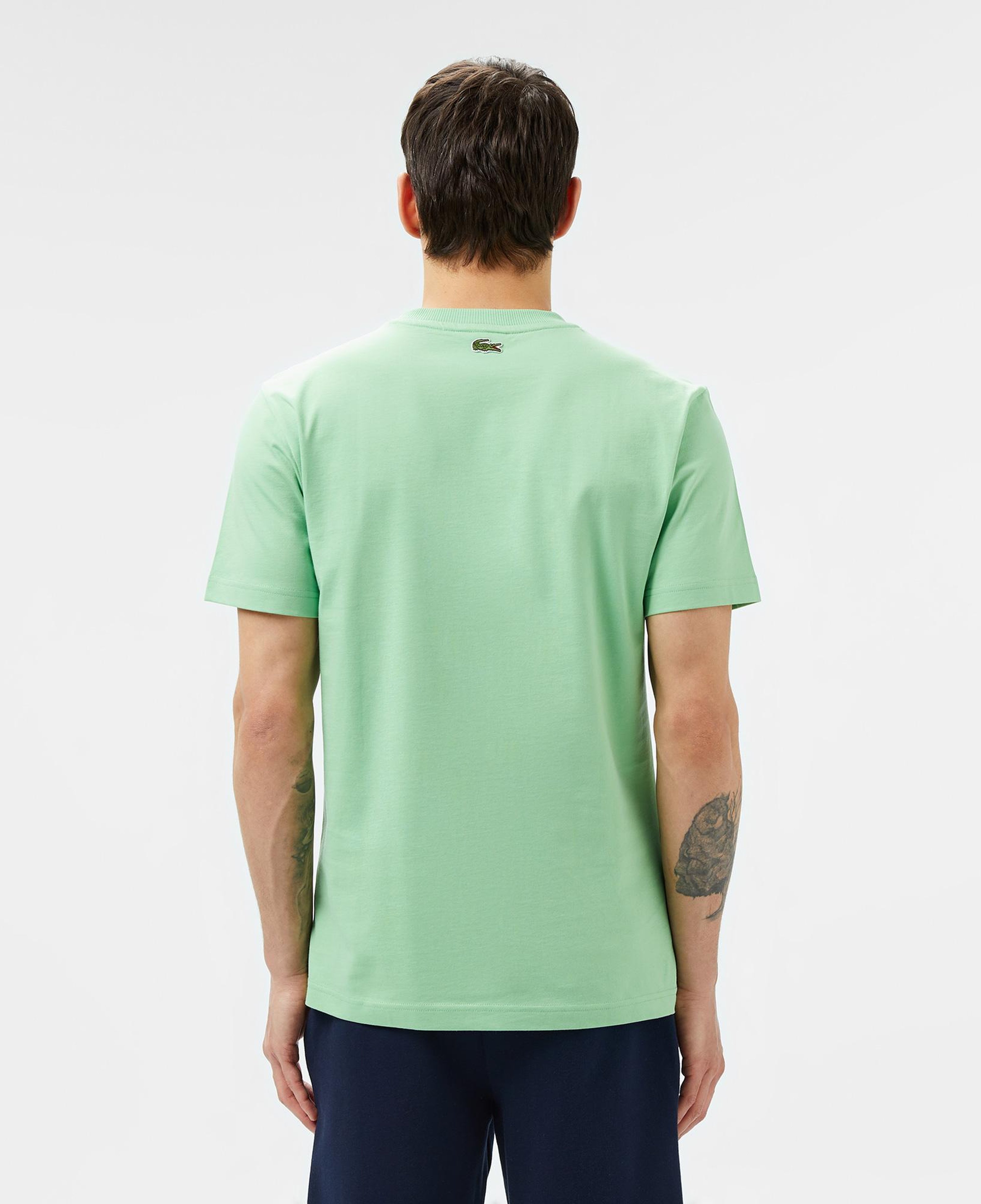 Erkek Regular Fit Bisiklet Yaka Baskılı Açık Yeşil T-Shirt