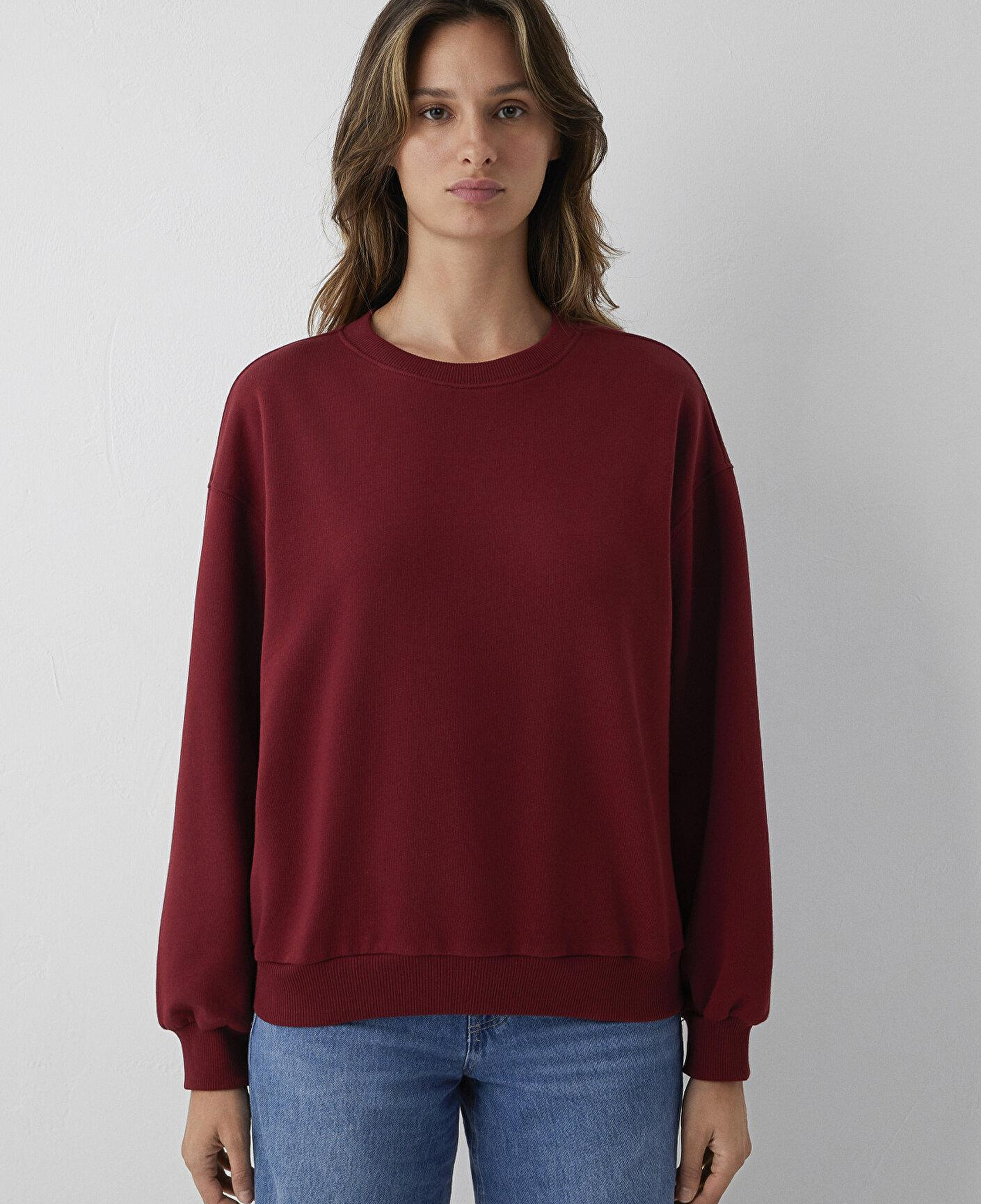 Mavi Kırmızı Sweatshirt 1S10567-85347