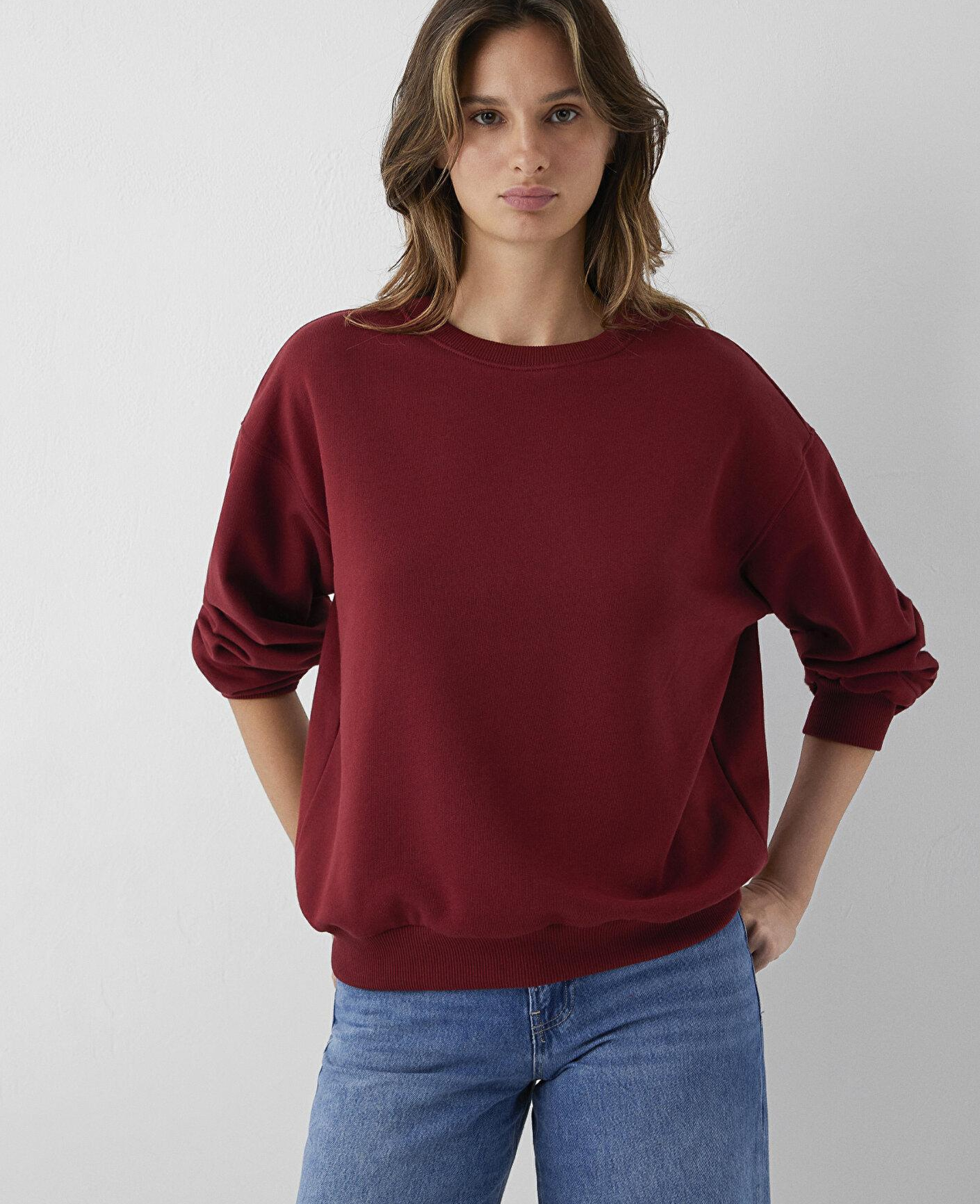 Mavi Kırmızı Sweatshirt 1S10567-85347