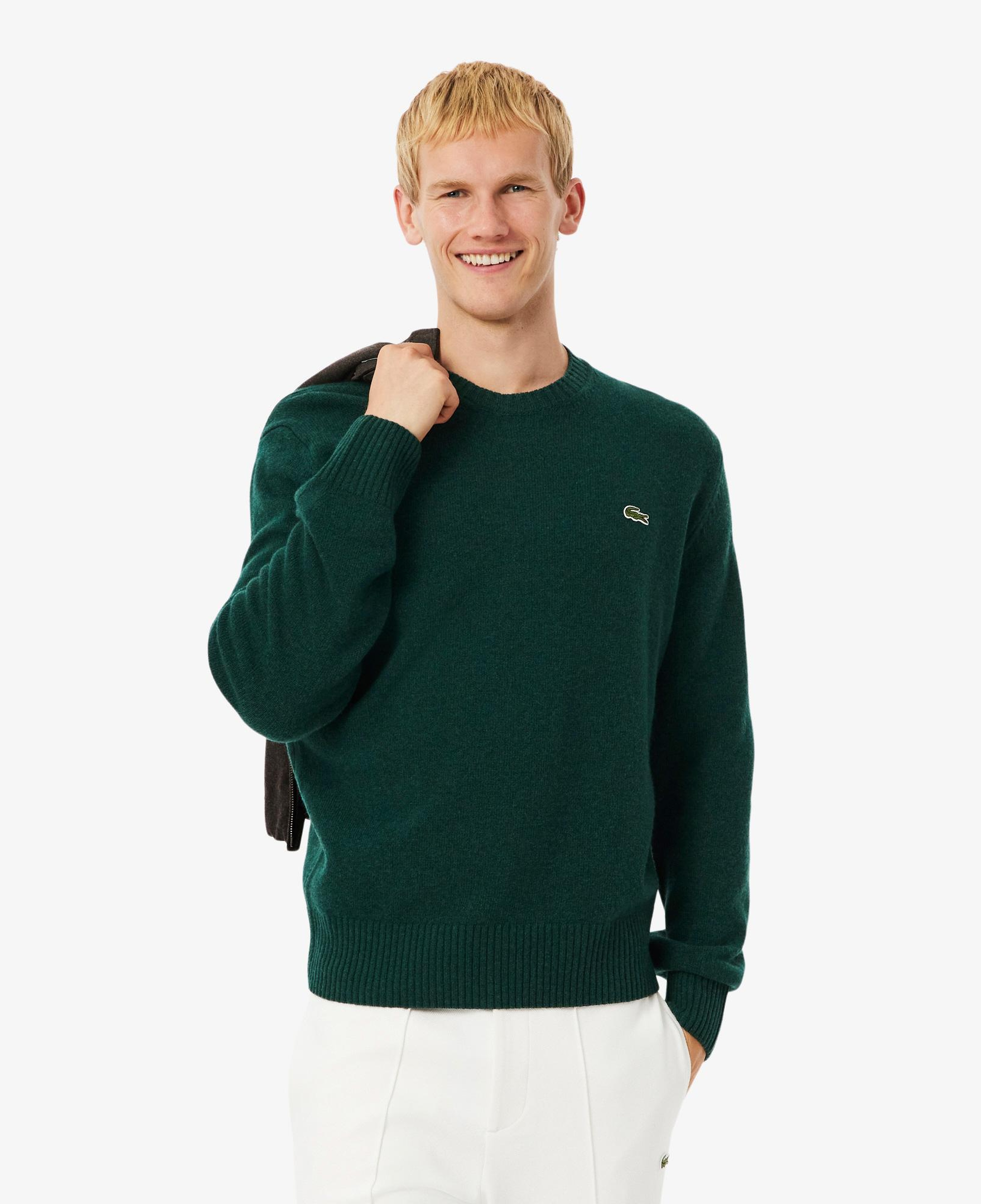 Erkek Classic Fit Bisiklet Yaka Koyu Yeşil Yün Kazak