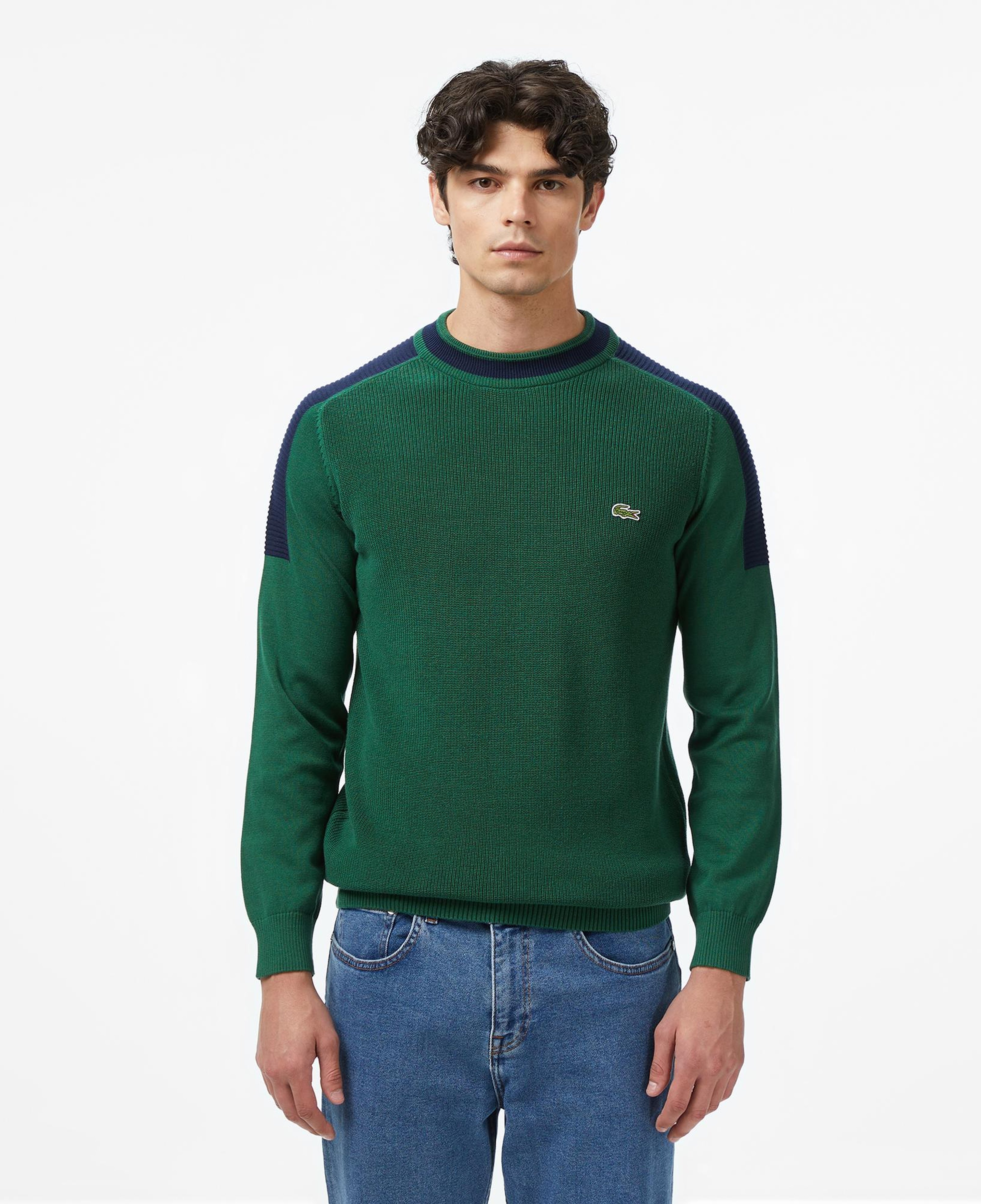 Erkek Classic Fit Bisiklet Yaka Renk Bloklu Yeşil Kazak