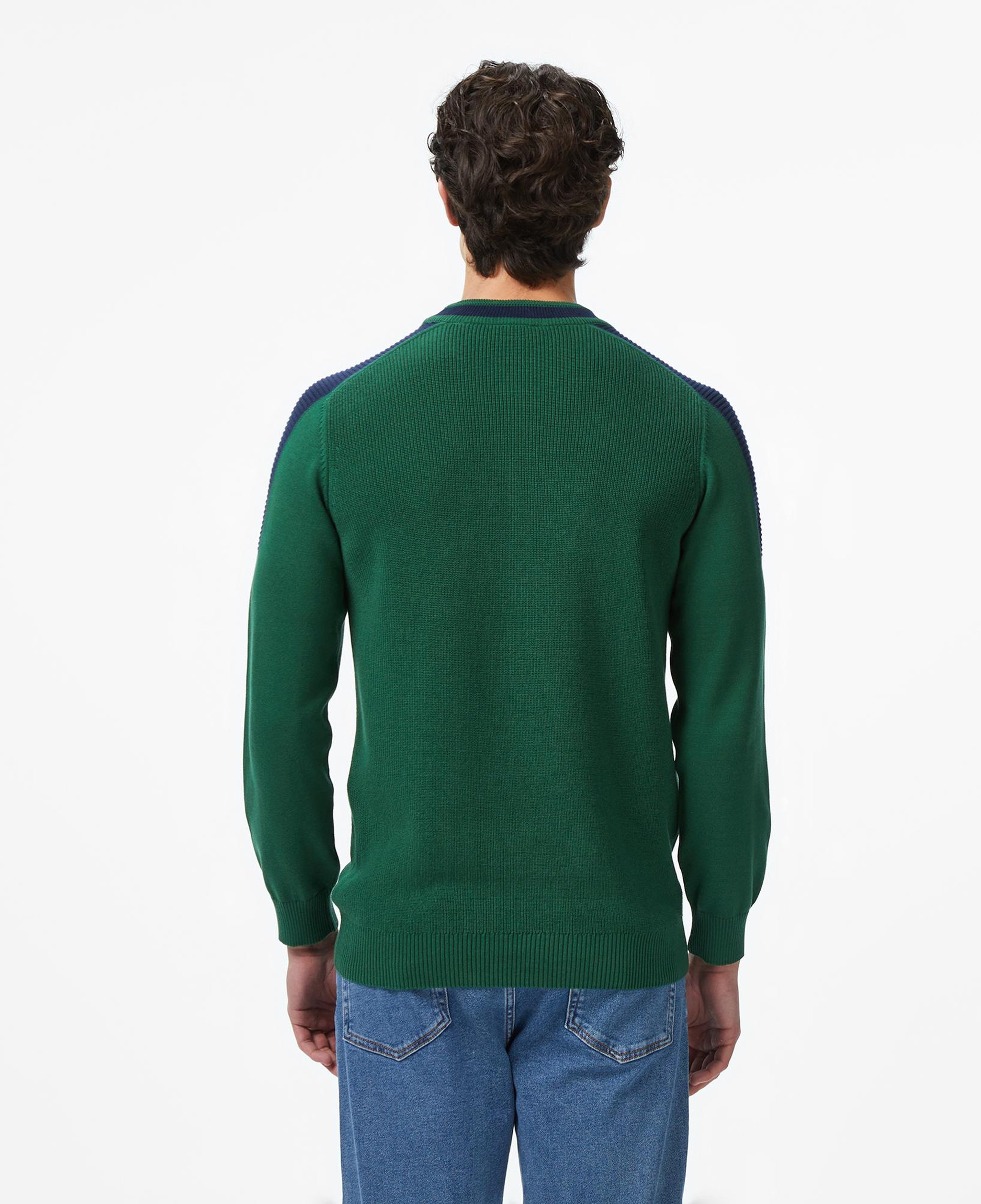 Erkek Classic Fit Bisiklet Yaka Renk Bloklu Yeşil Kazak