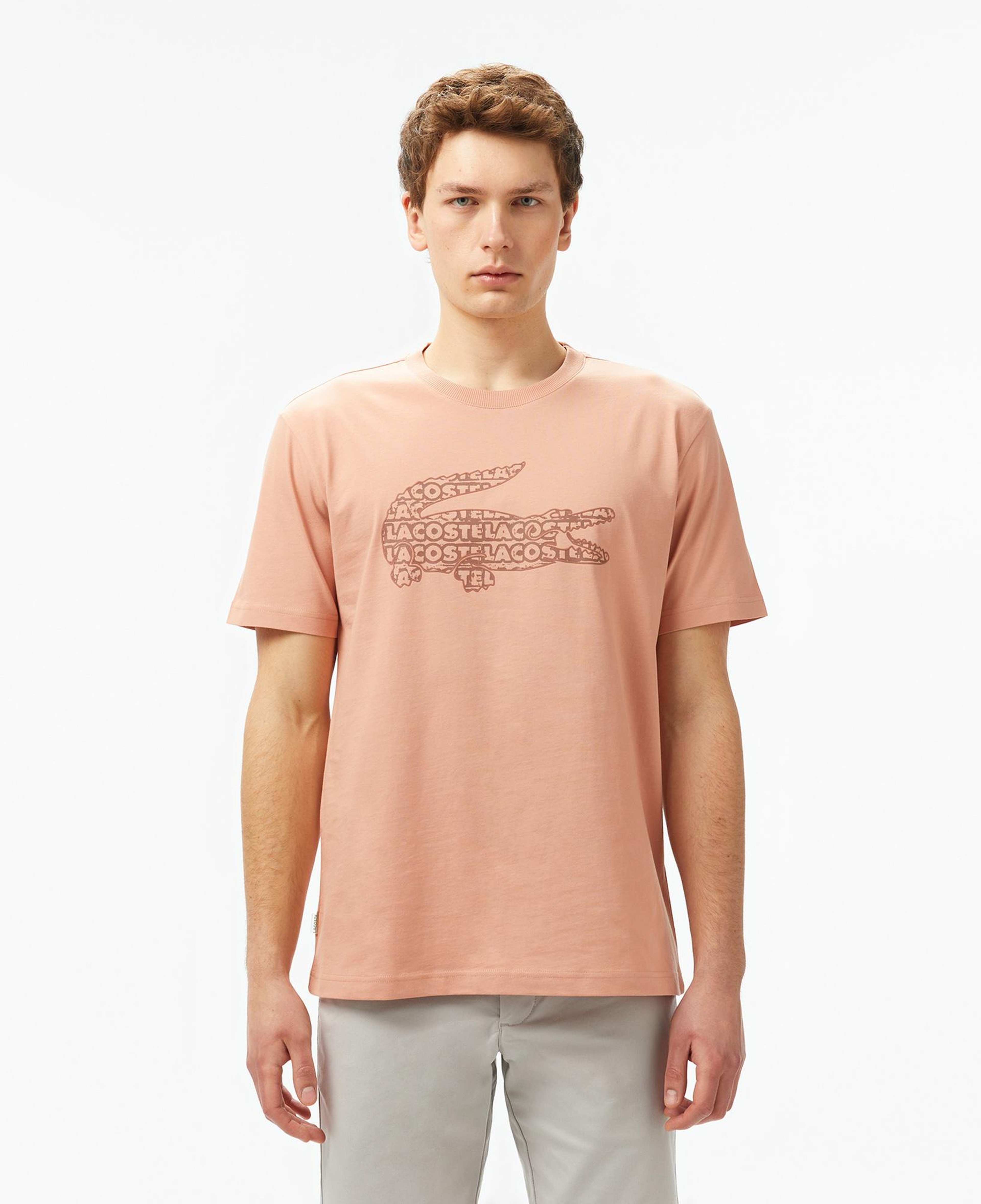 Erkek Regular Fit Bisiklet Yaka Baskılı Açık Kahverengi T-Shirt
