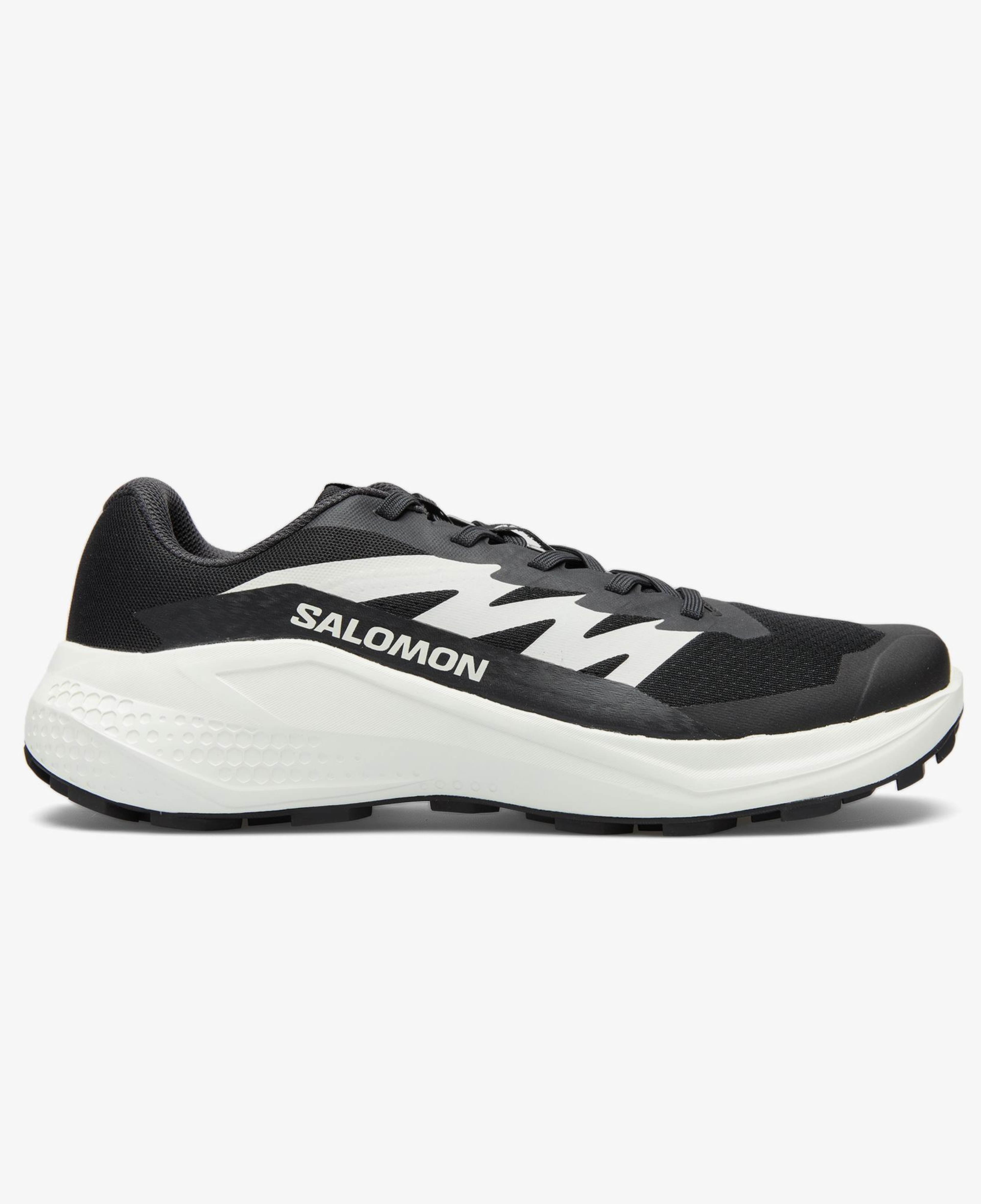 Salomon Alphaglide Erkek Siyah Koşu Ayakkabısı