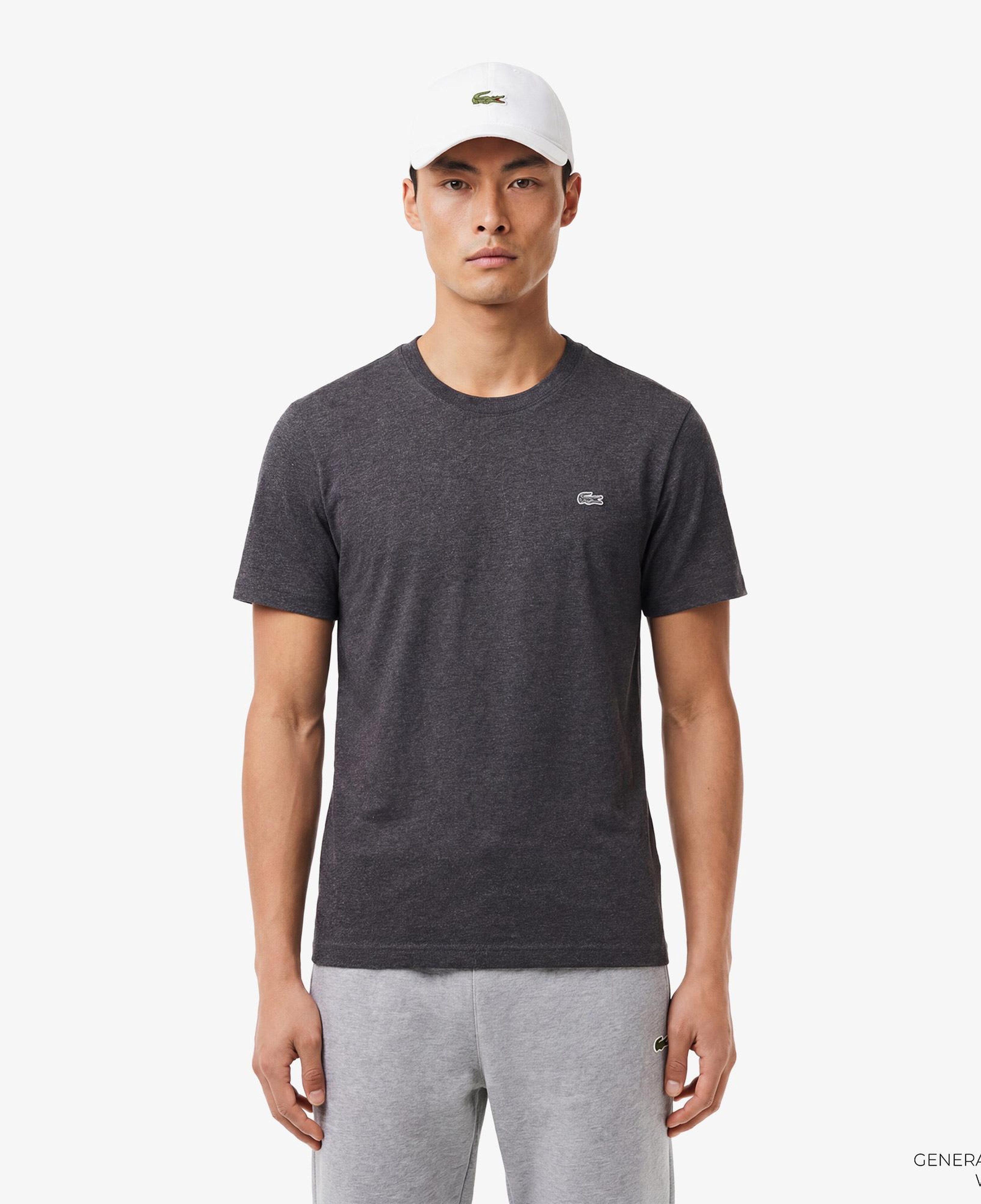Erkek Regular Fit Bisiklet Yaka Koyu Gri T-Shirt