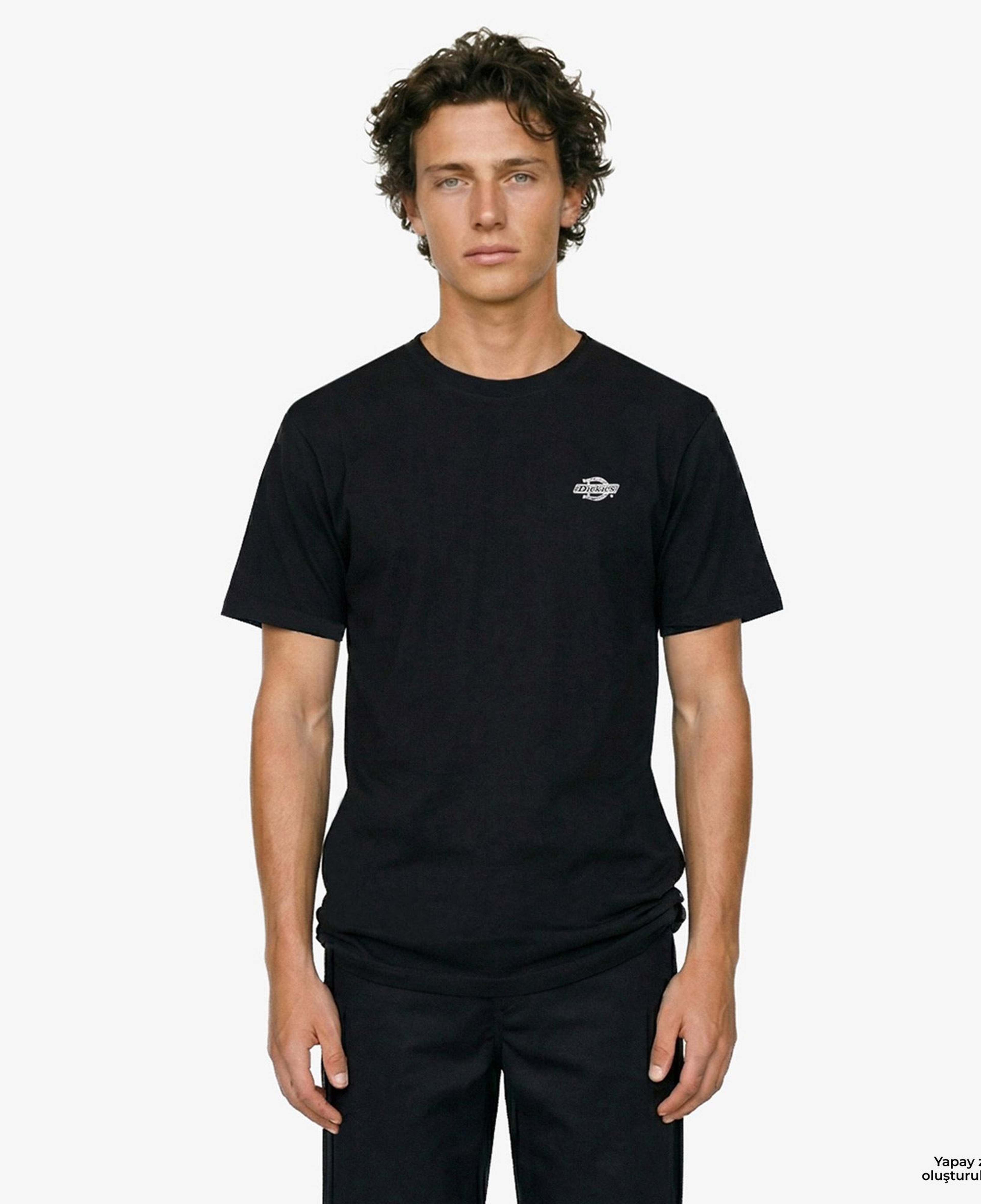 Dickies Summerdale Ss Erkek Siyah T-Shirt
