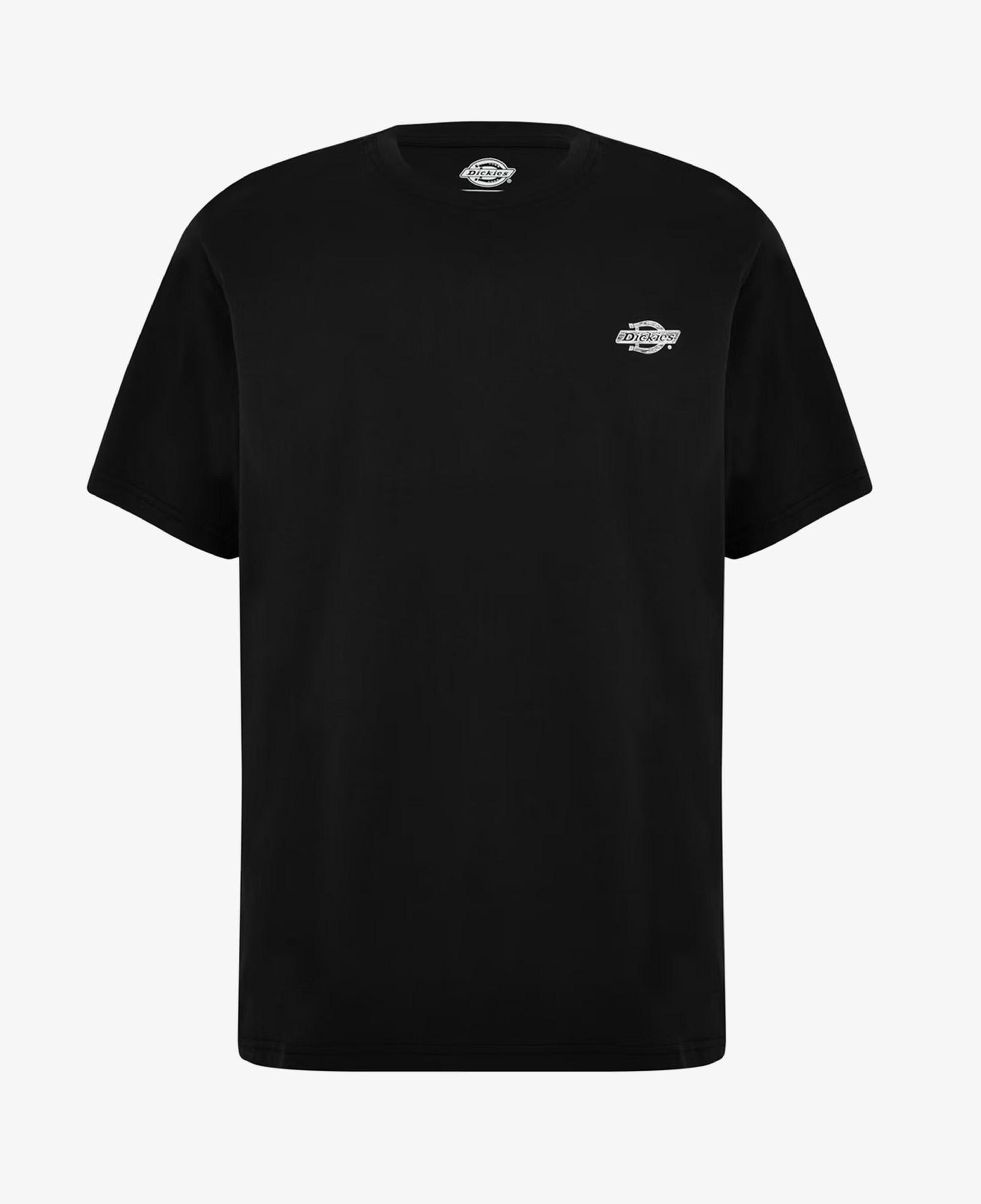 Dickies Summerdale Ss Erkek Siyah T-Shirt