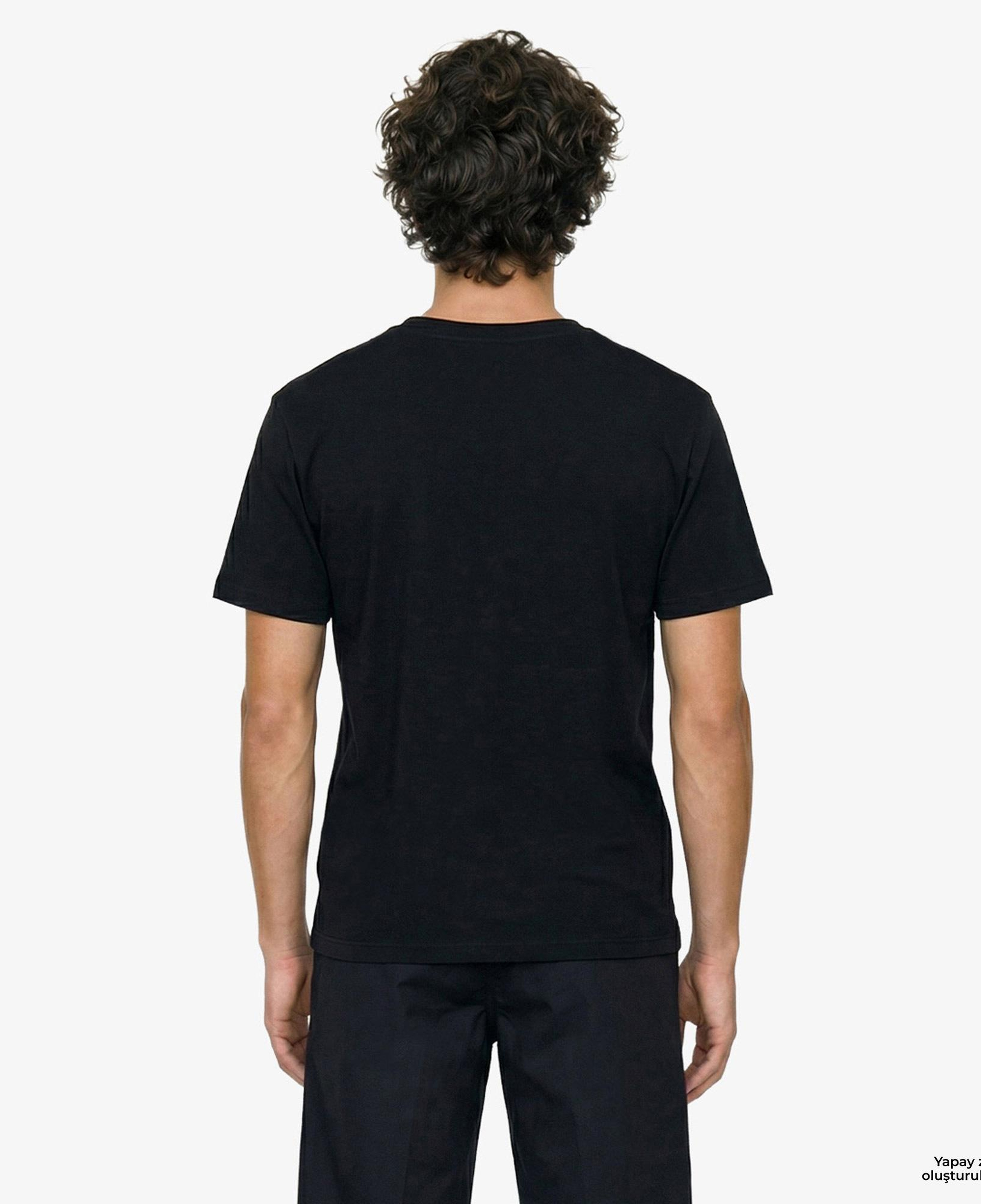 Dickies Summerdale Ss Erkek Siyah T-Shirt
