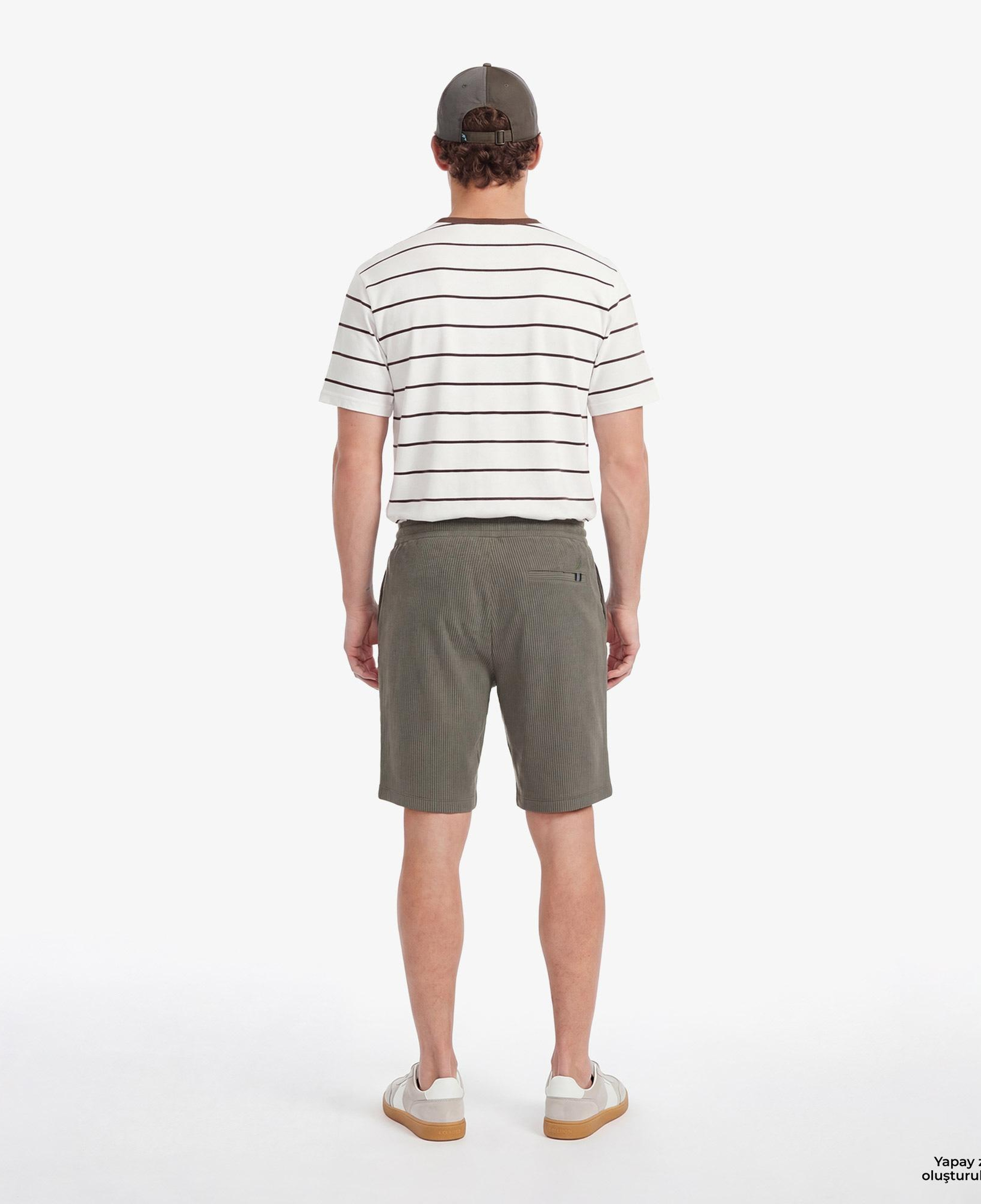 Nautica Erkek Yeşil Regular Fit Şort