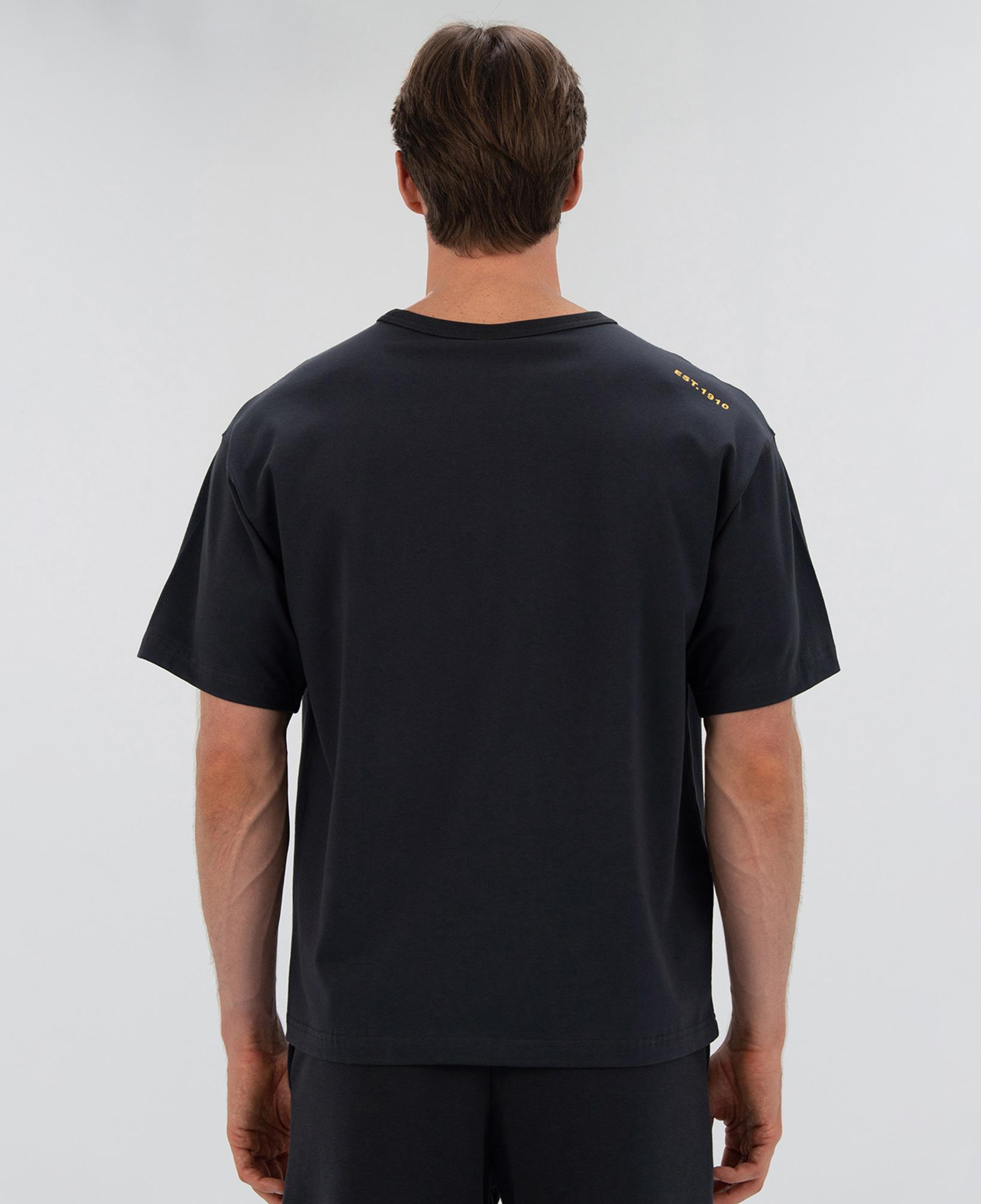 Everlast 1910 Classic Comfort Erkek Gri T-Shirt