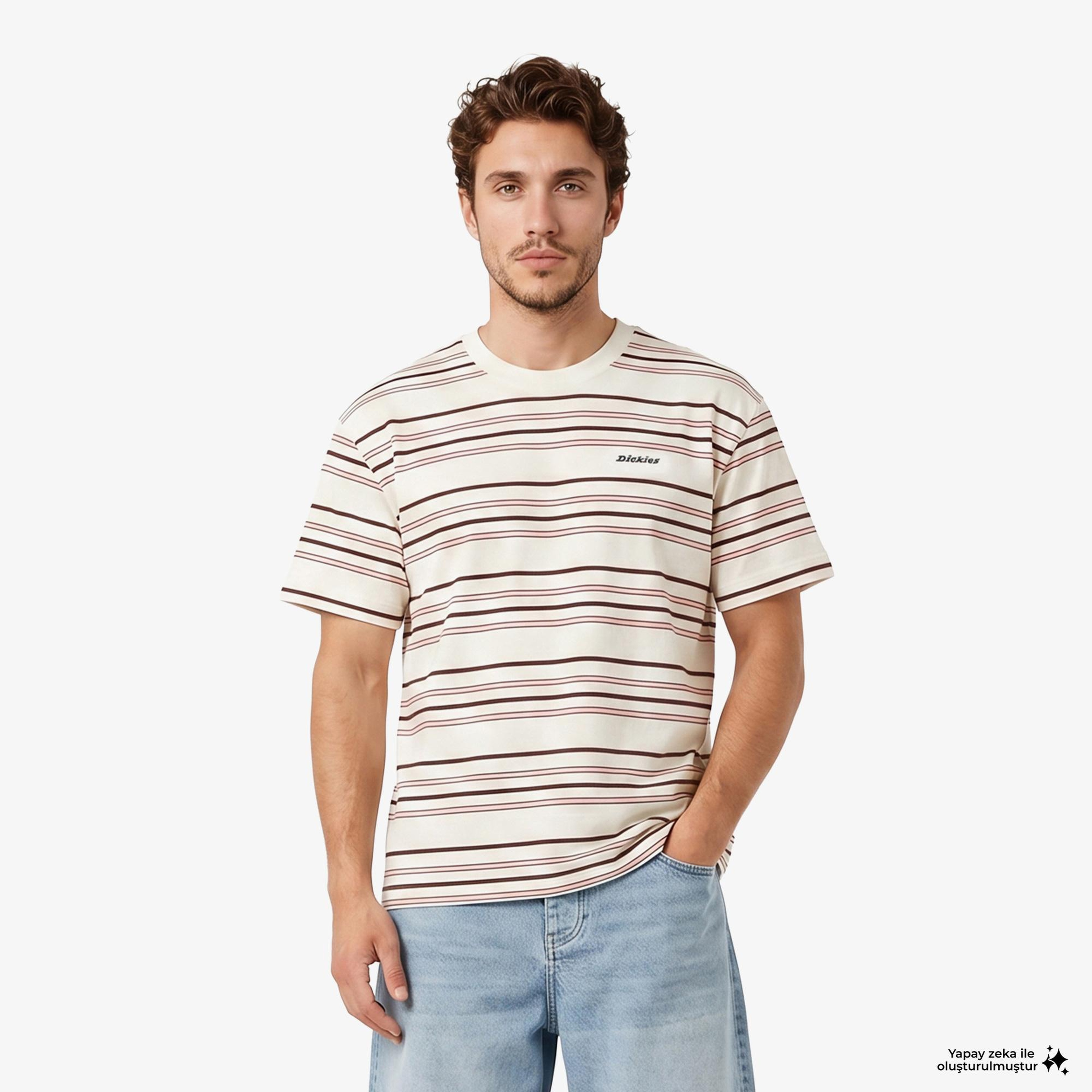 Dickies East Liberty Stripe Erkek Renkli T-Shirt