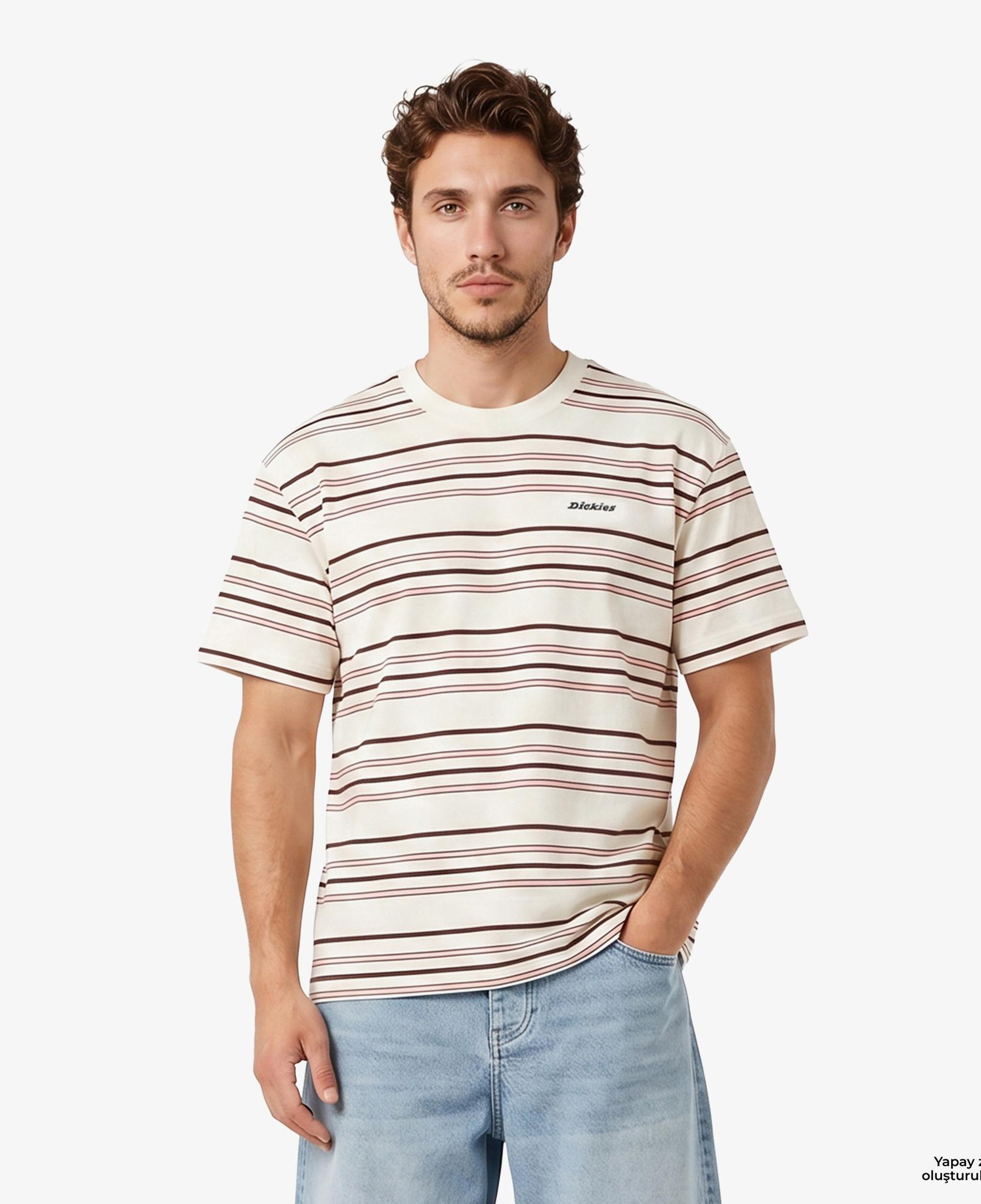 Dickies East Liberty Stripe Erkek Renkli T-Shirt