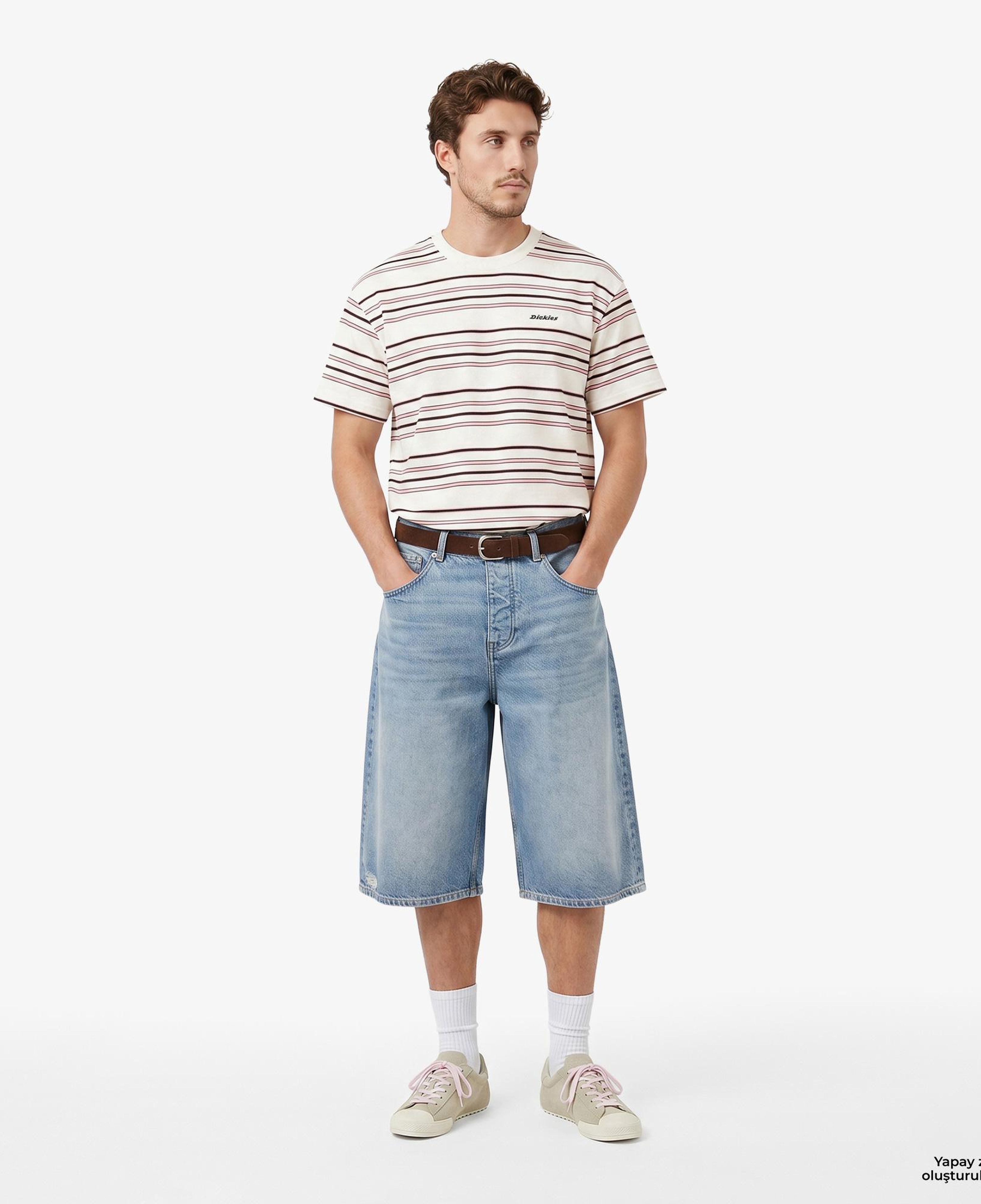 Dickies East Liberty Stripe Erkek Renkli T-Shirt