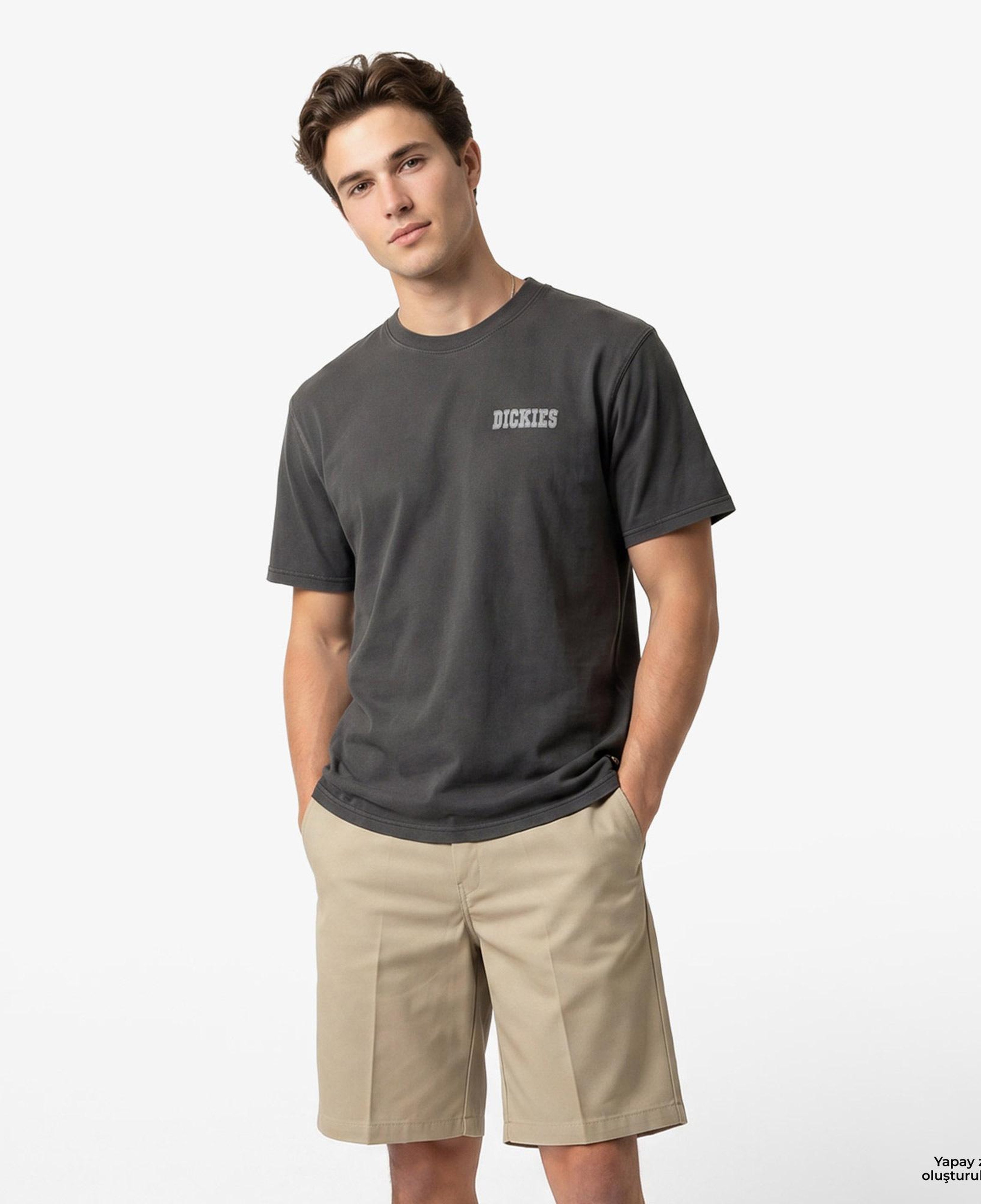 Dickies Buchtell Erkek Siyah T-Shirt