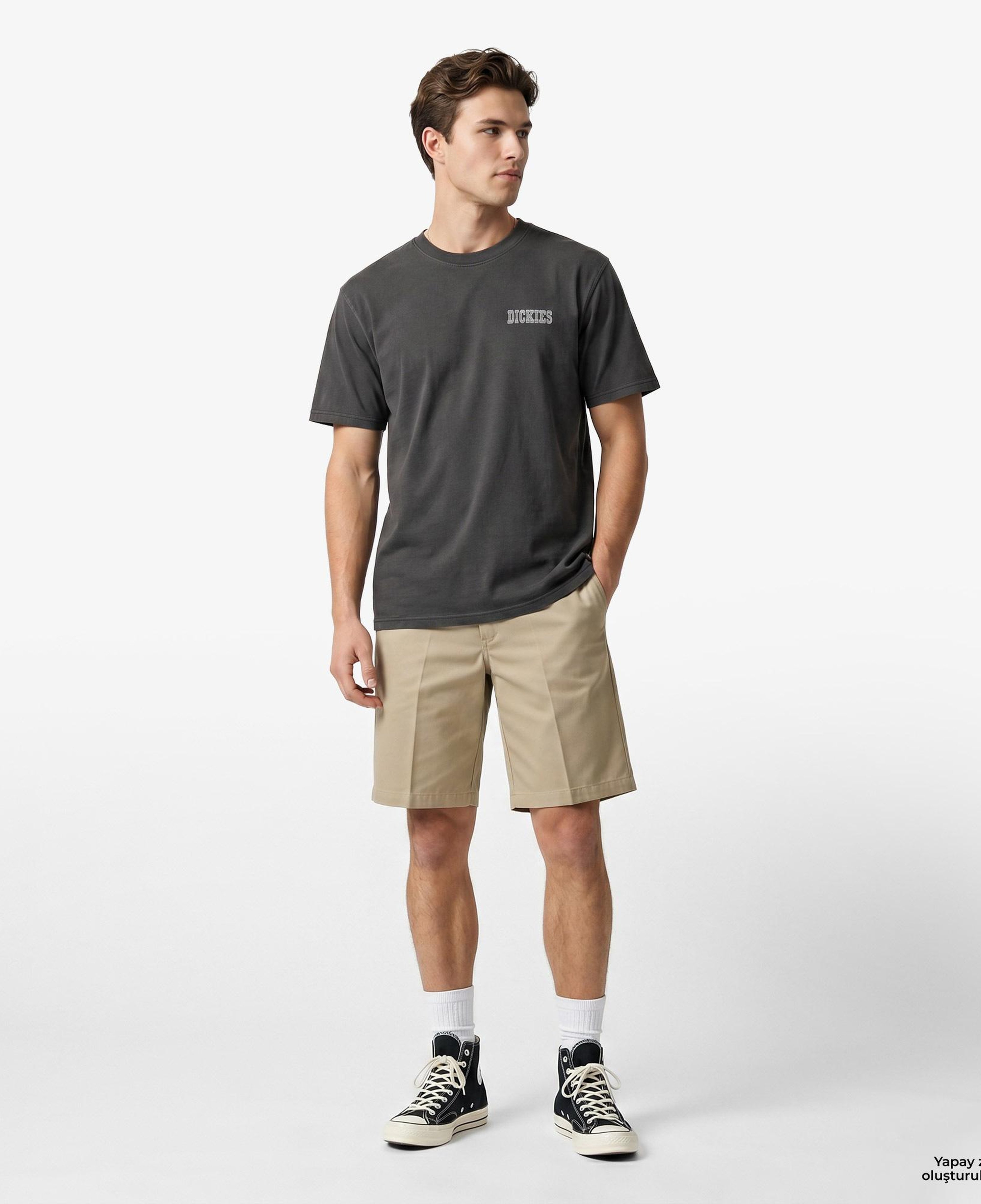 Dickies Buchtell Erkek Siyah T-Shirt