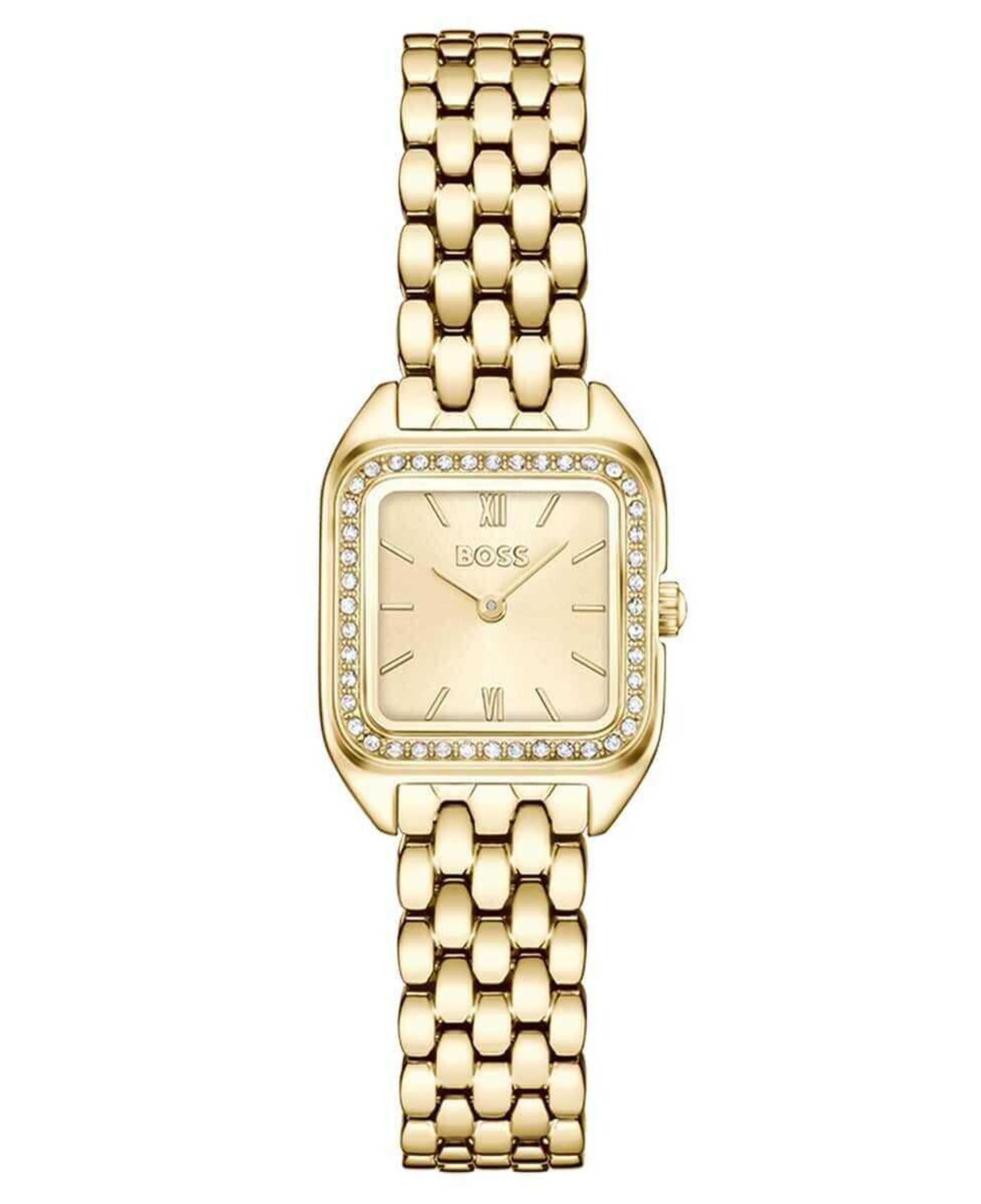 Boss Watches HB1502883 Kadın Kol Saati