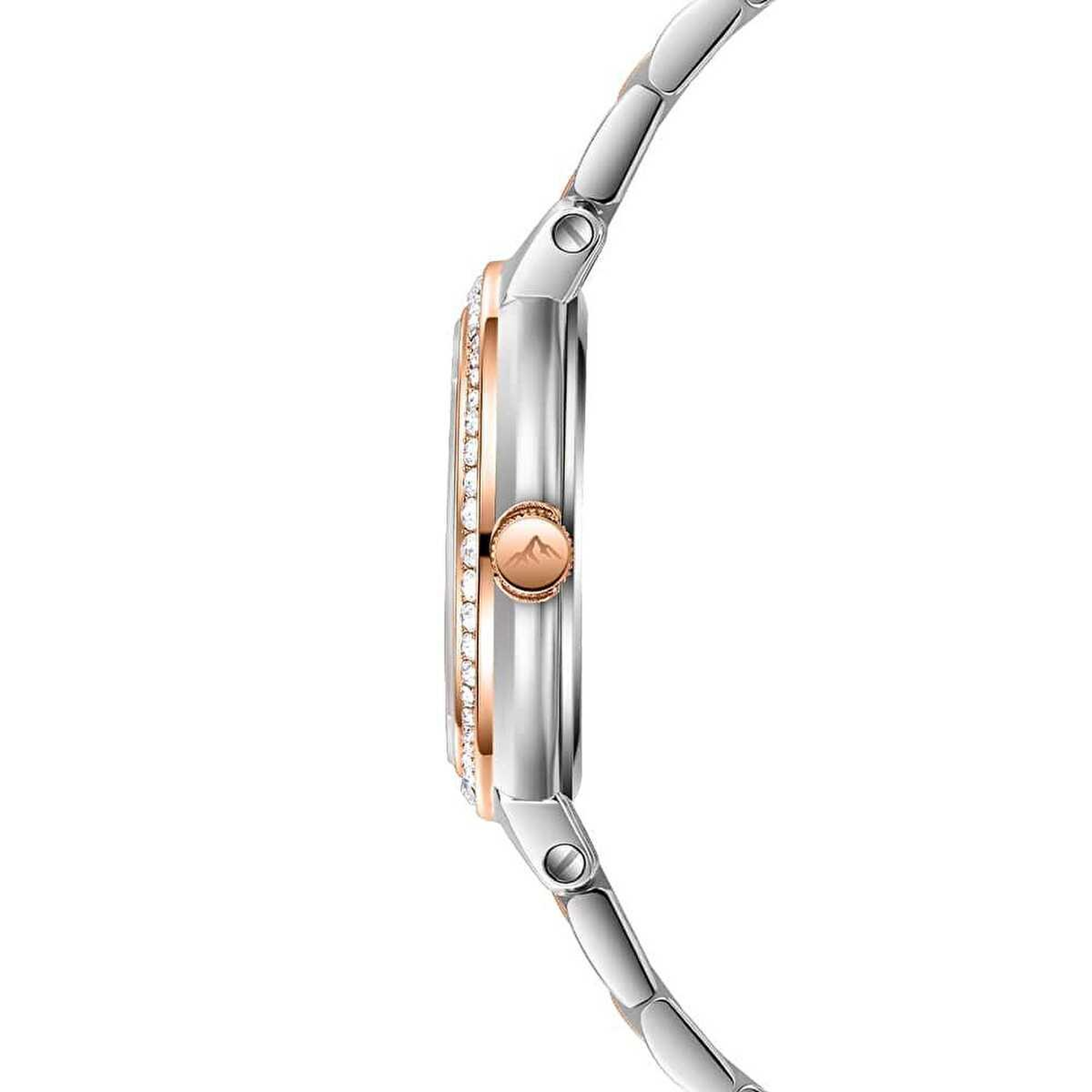 Roche Montre RML3000-01 Kadın Kol Saati