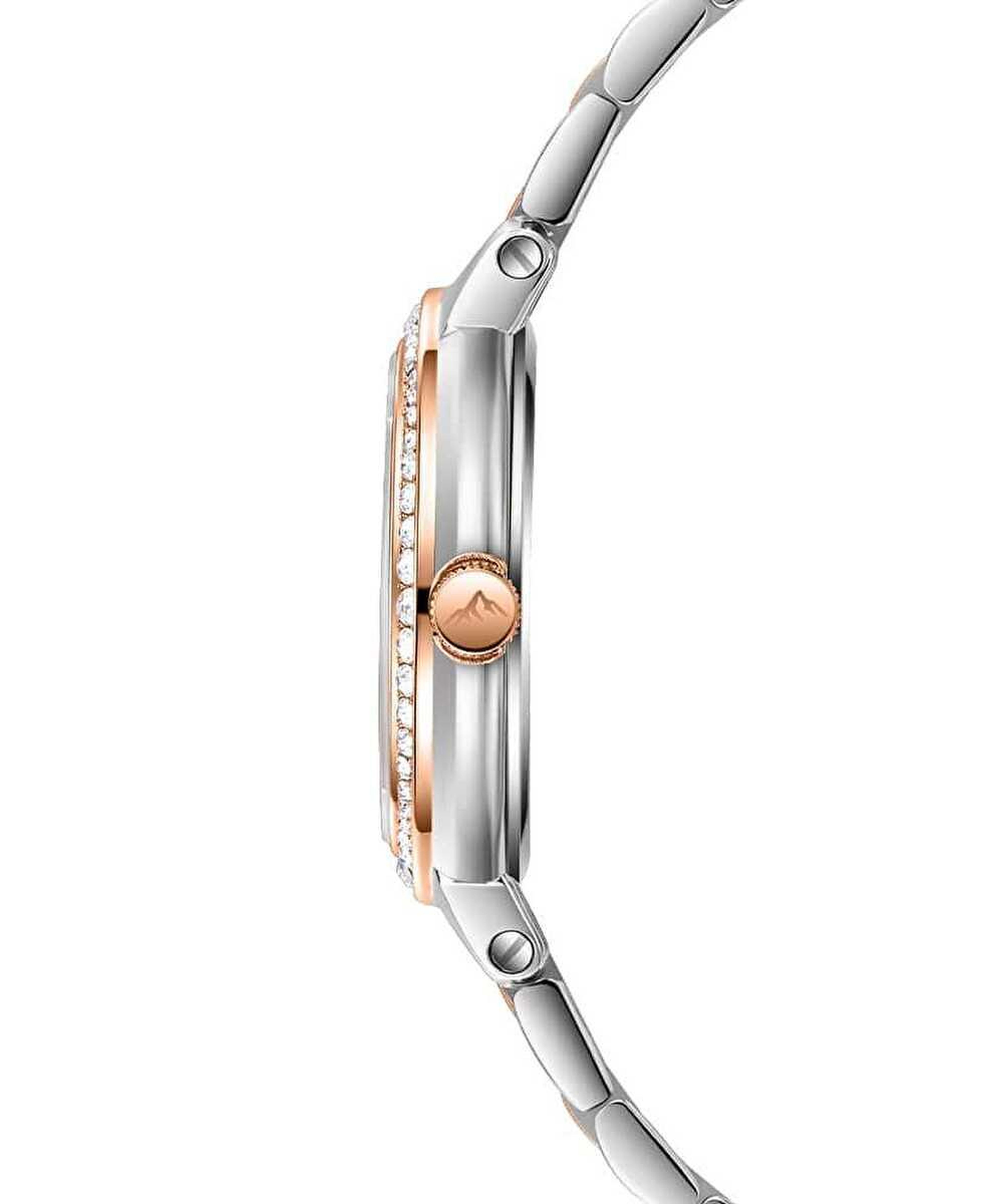 Roche Montre RML3000-01 Kadın Kol Saati