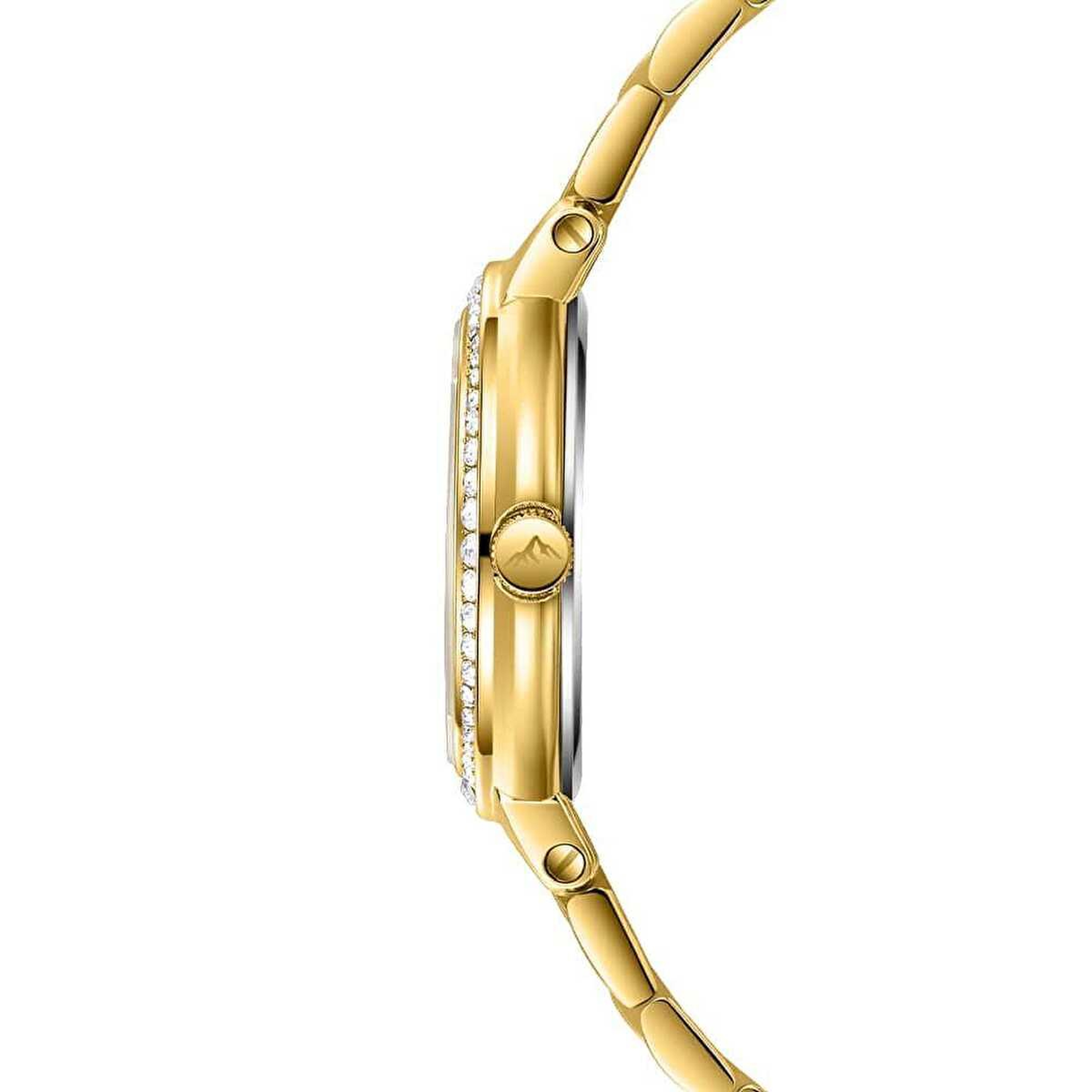 Roche Montre RML3000-02 Kadın Kol Saati