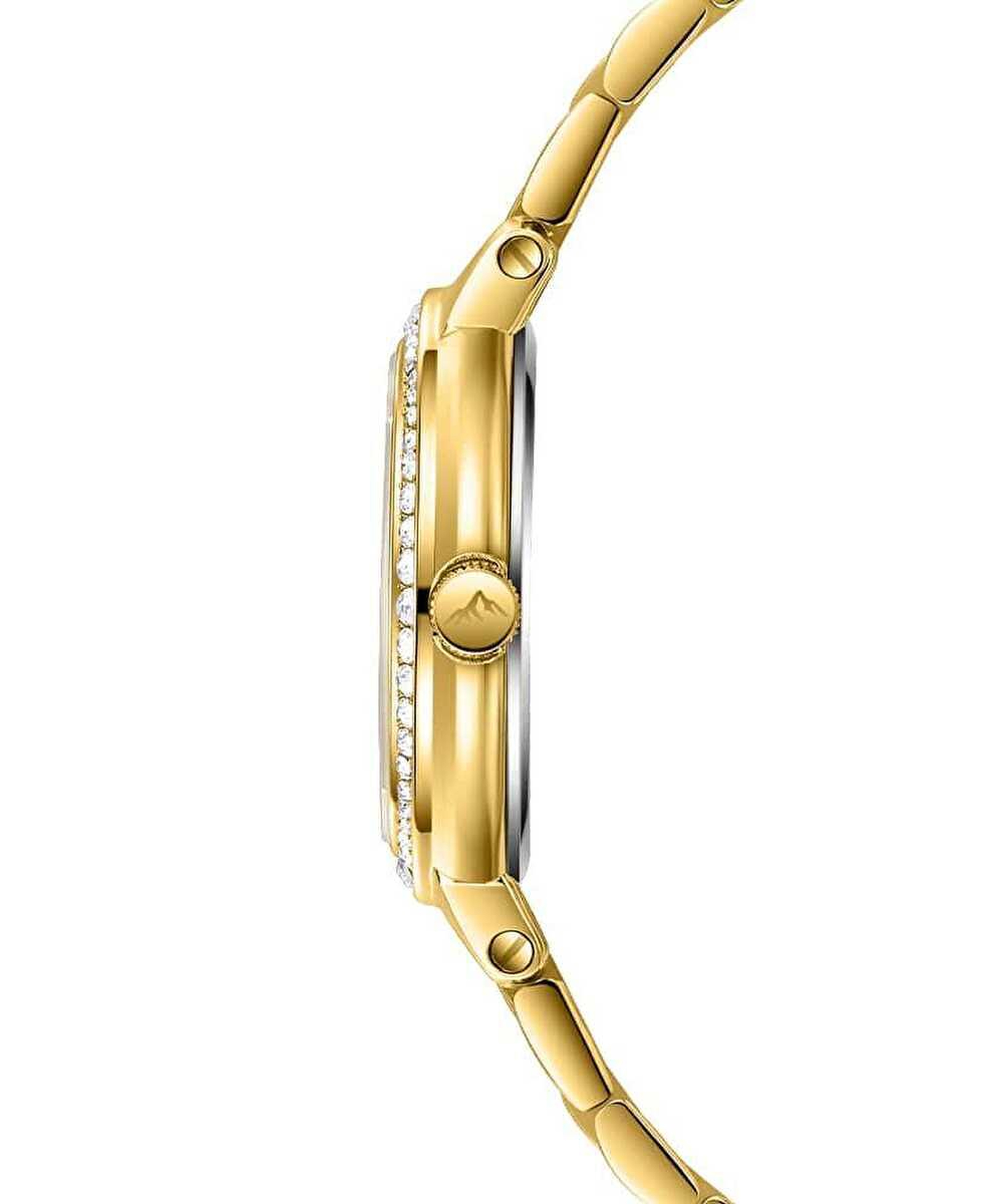 Roche Montre RML3000-02 Kadın Kol Saati