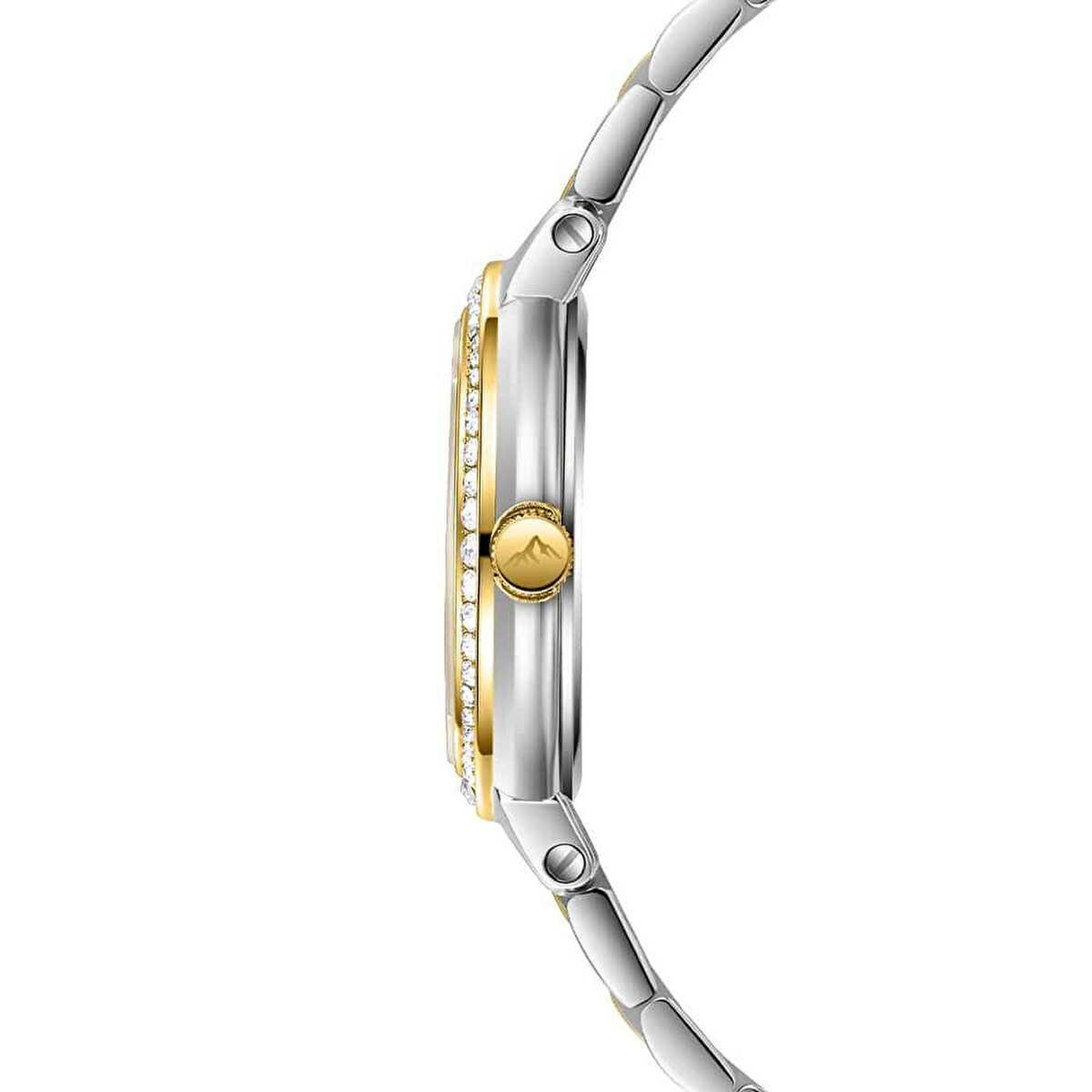 Roche Montre RML3000-04 Kadın Kol Saati