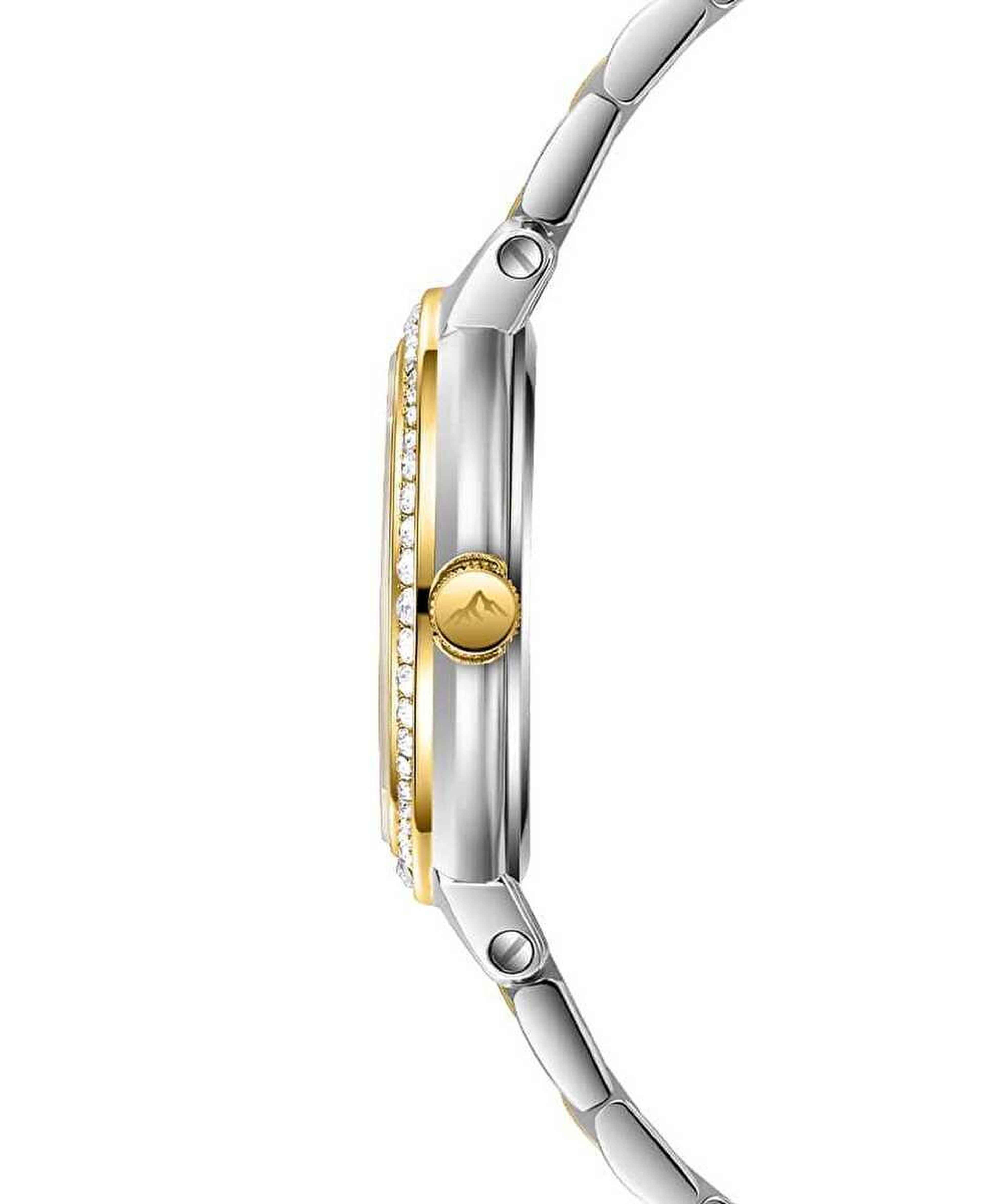 Roche Montre RML3000-04 Kadın Kol Saati
