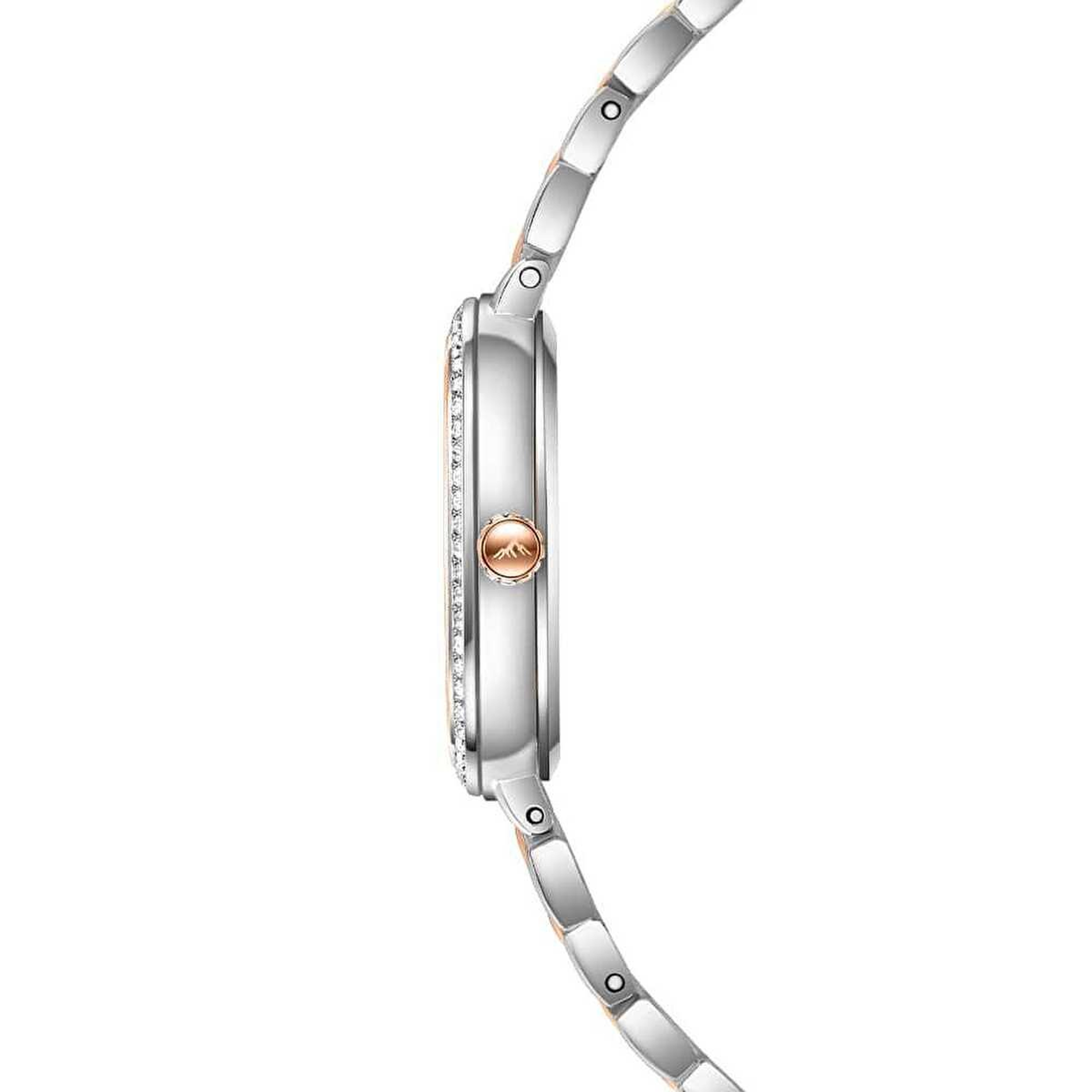 Roche Montre RML3002-01 Kadın Kol Saati