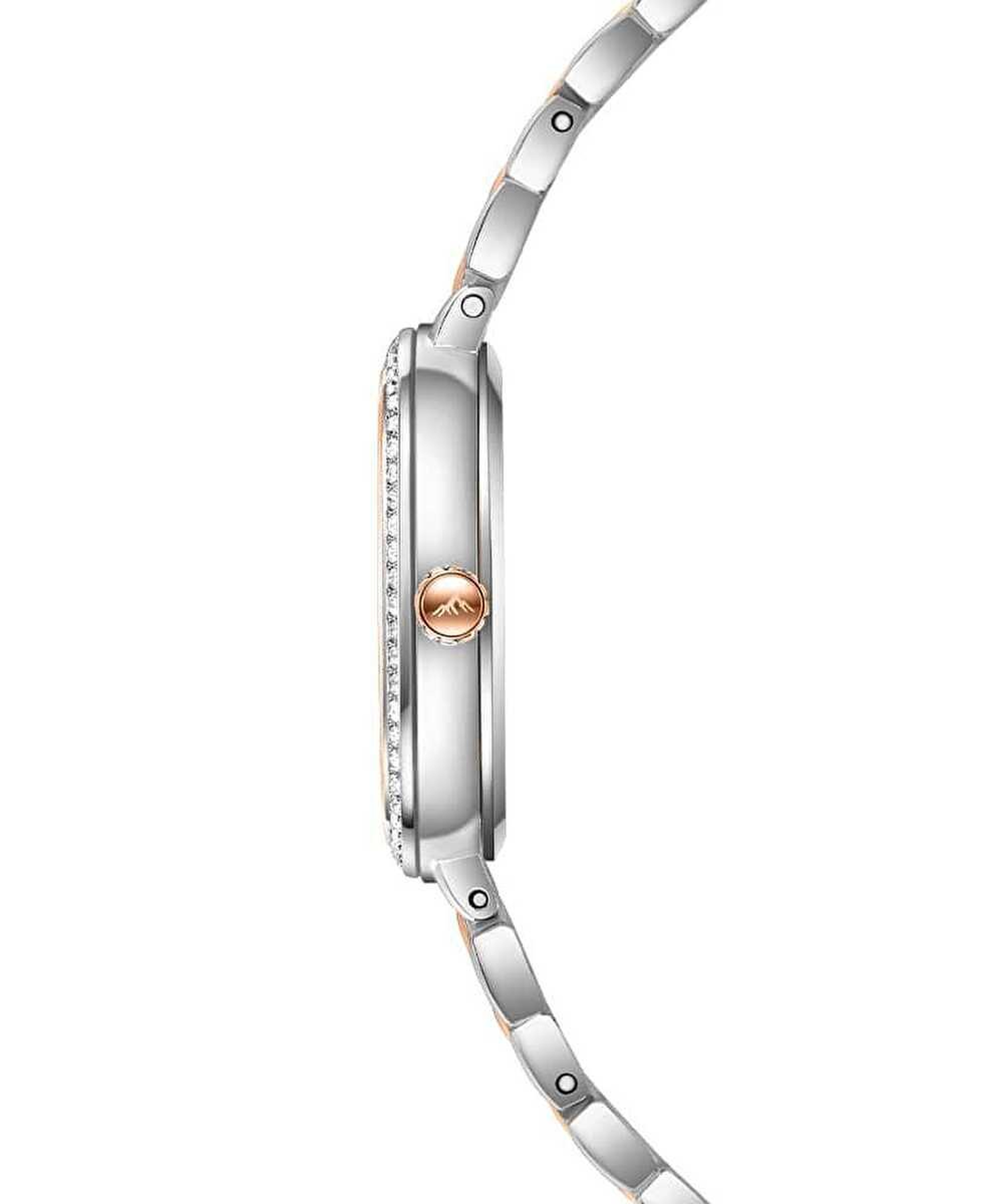 Roche Montre RML3002-01 Kadın Kol Saati