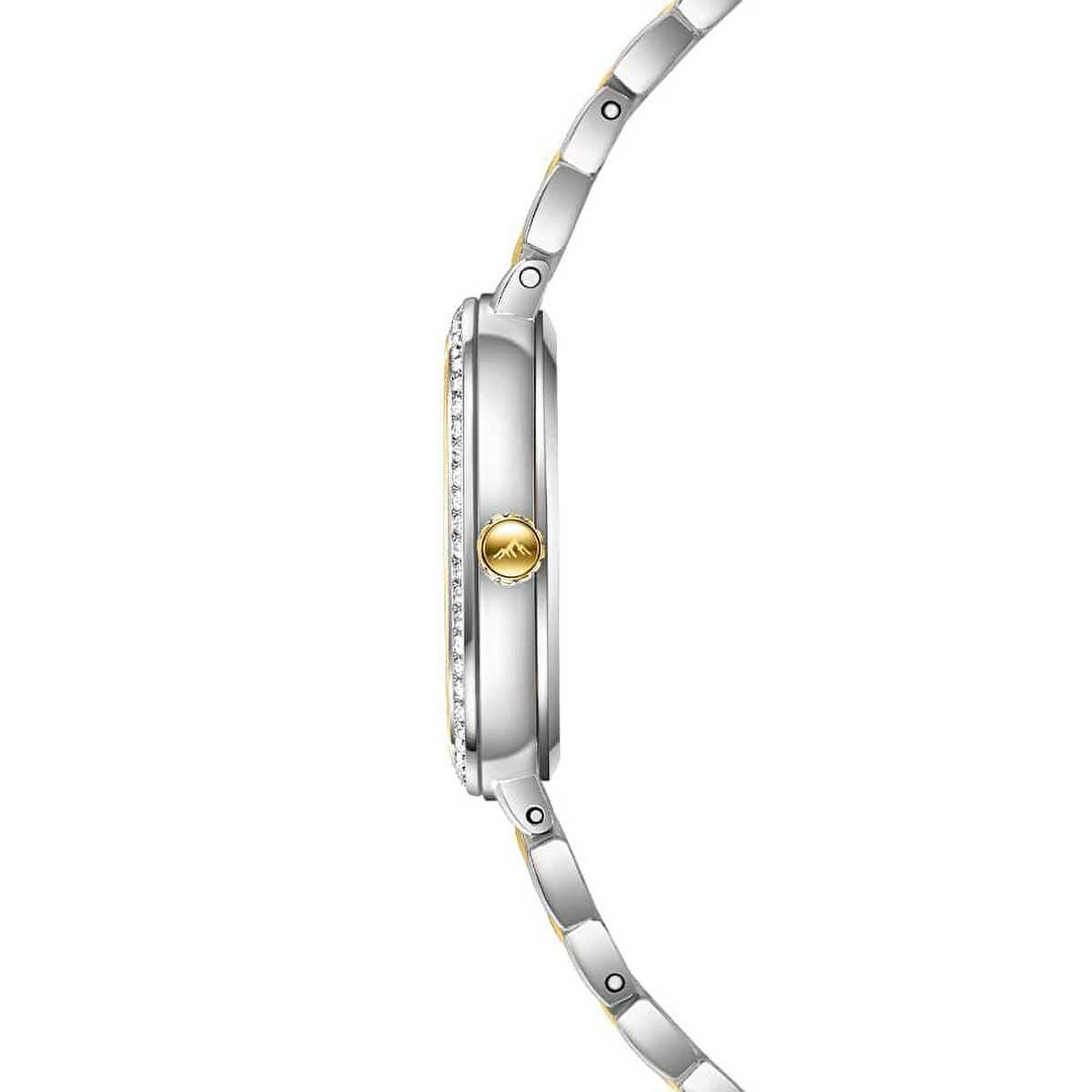 Roche Montre RML3002-03 Kadın Kol Saati