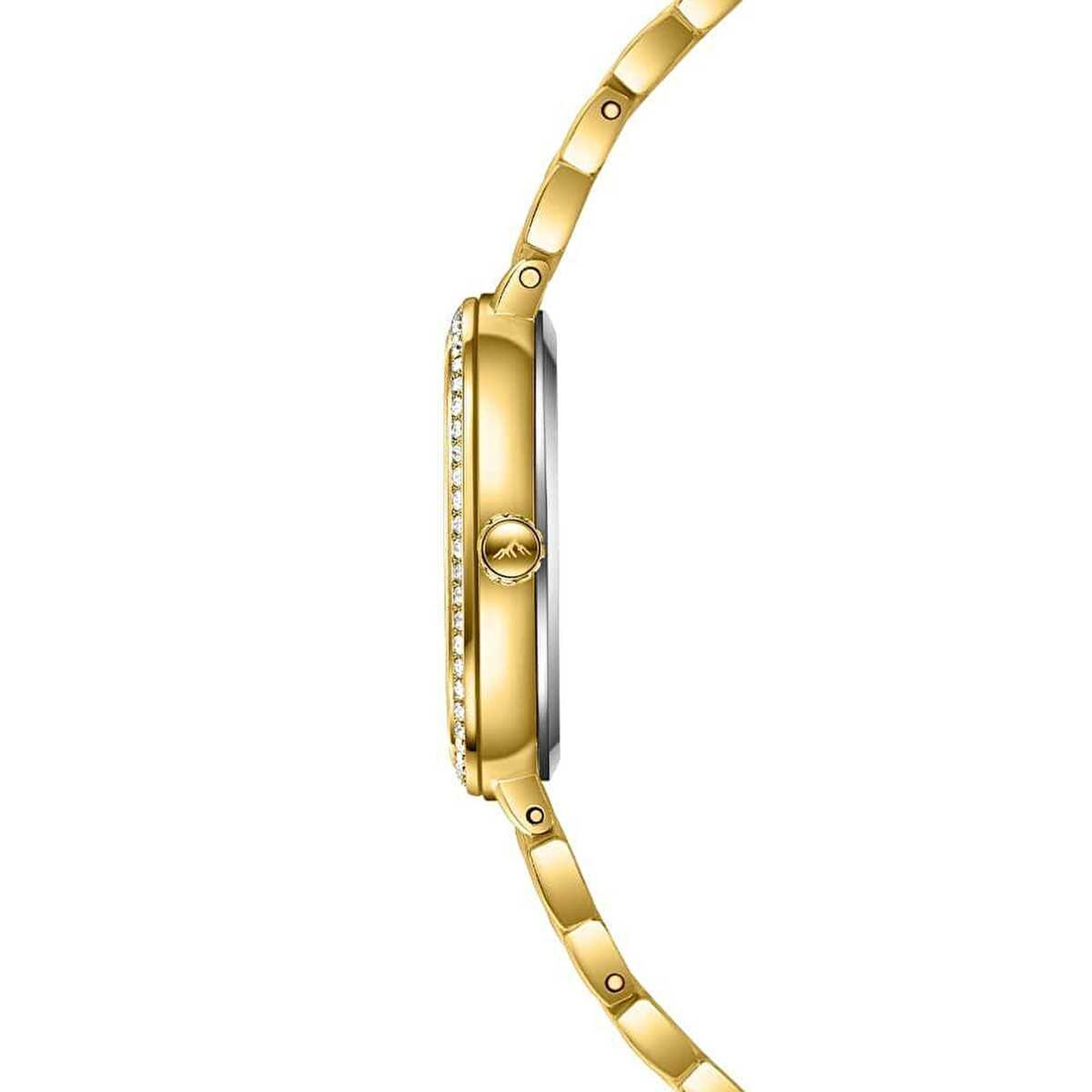 Roche Montre RML3002-04 Kadın Kol Saati