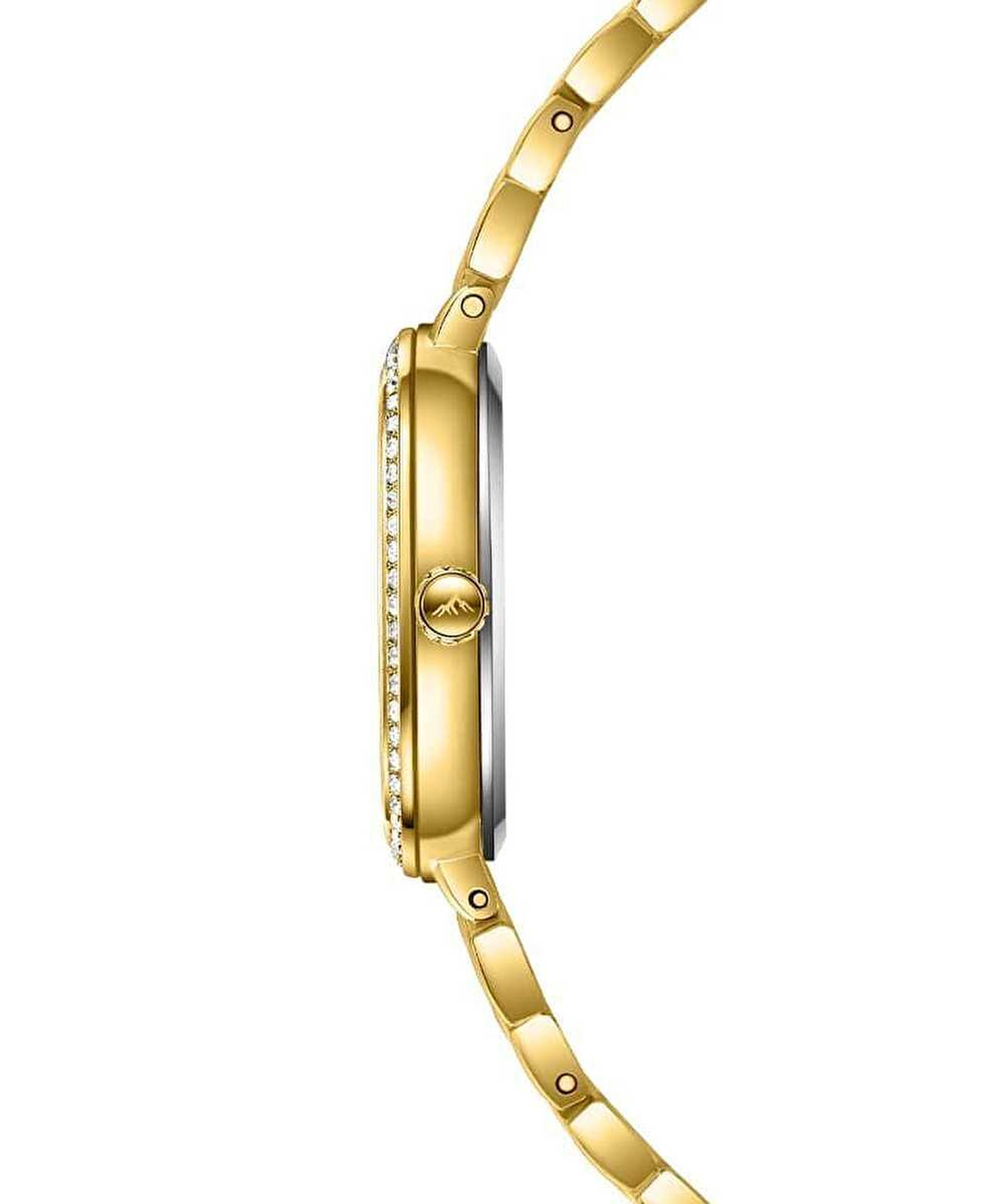 Roche Montre RML3002-04 Kadın Kol Saati