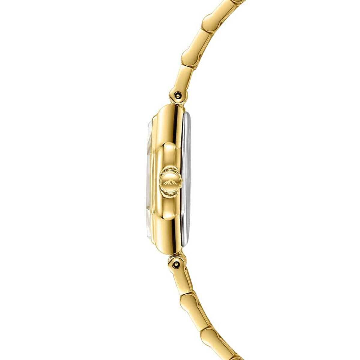 Roche Montre RML3003-04 Kadın Kol Saati