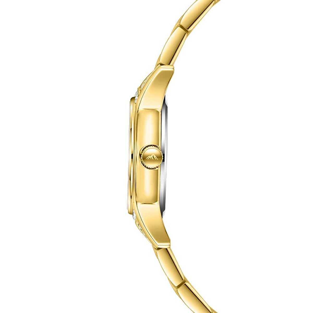 Roche Montre RML3005-03 Kadın Kol Saati